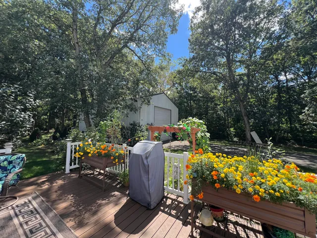 a view of a park with large trees