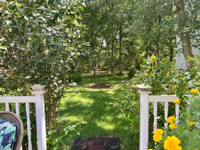 a view of a trees in front of a house