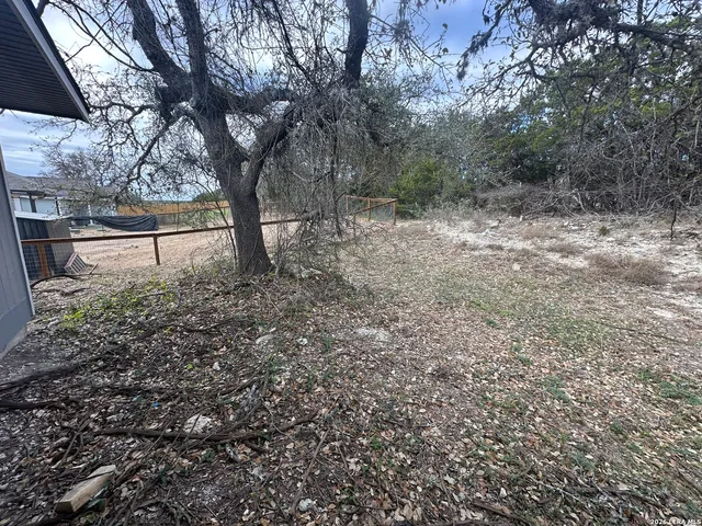 a view of backyard with trees