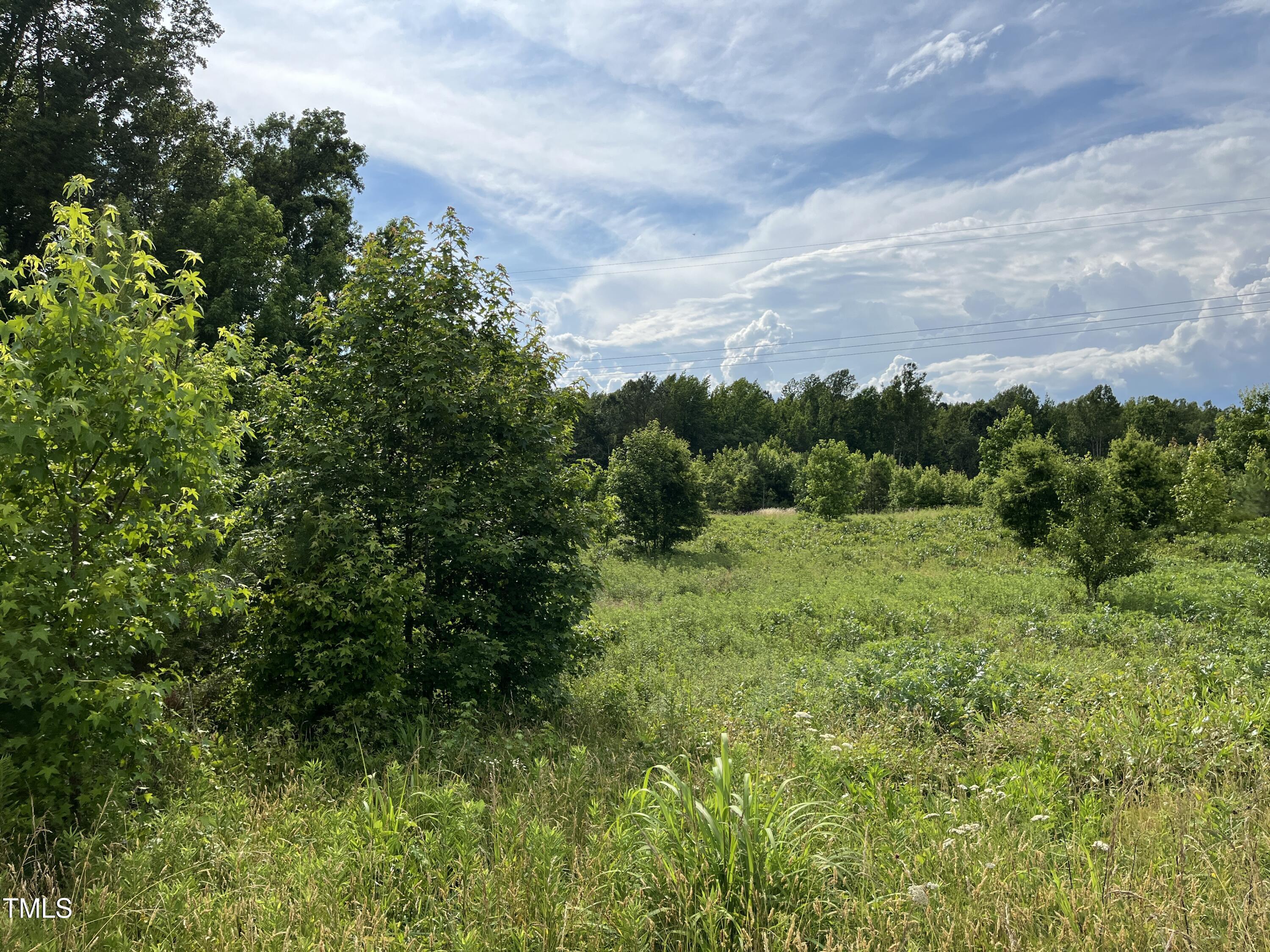 0 Bullocksville Park Road Manson, NC 27553 - Photo 5 of 15 IMG_7561