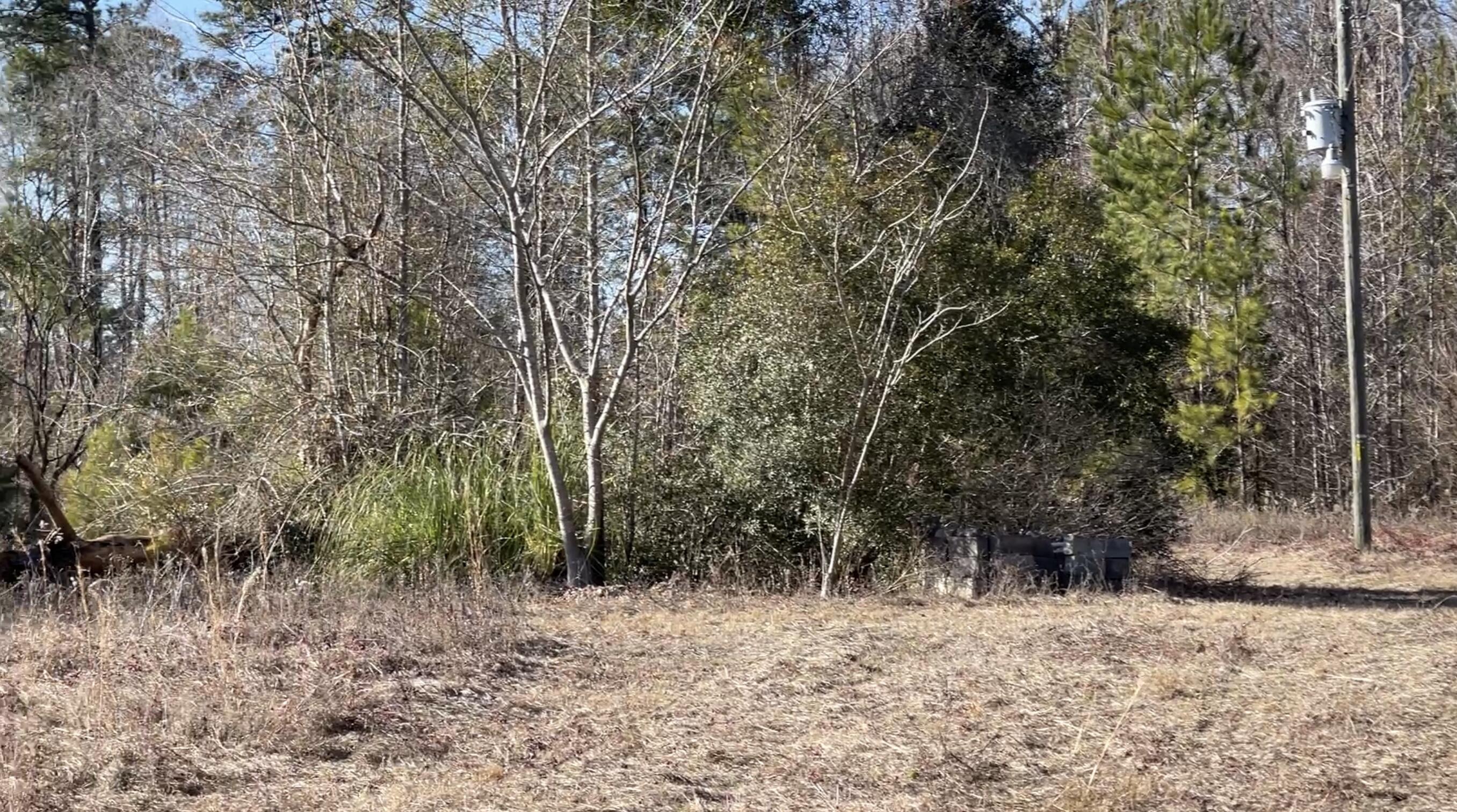 265 Hutto Road Ridgeville, SC 29472 - Photo 2 of 14 626645FC-9DBA-440A-92EE-6C6A5B284845