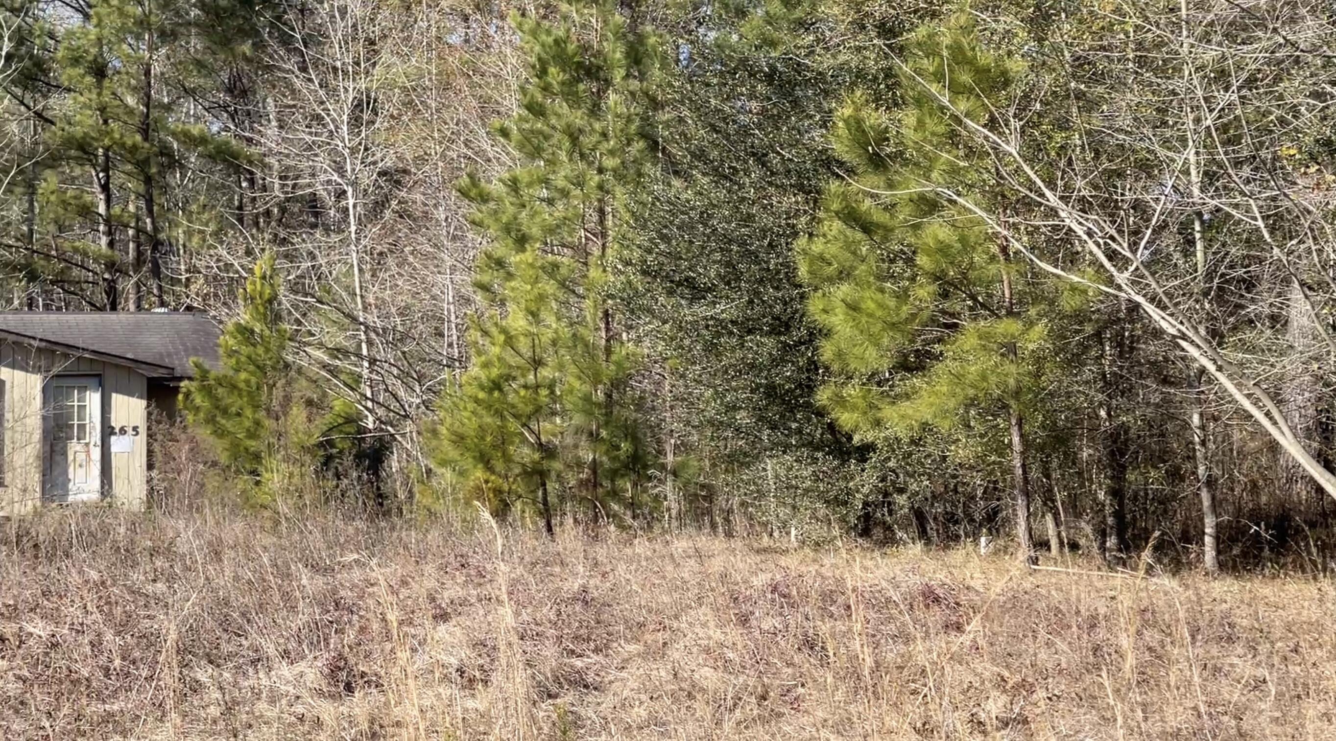 265 Hutto Road Ridgeville, SC 29472 - Photo 3 of 14 D55824AD-469C-4625-B017-791BBE906FFA