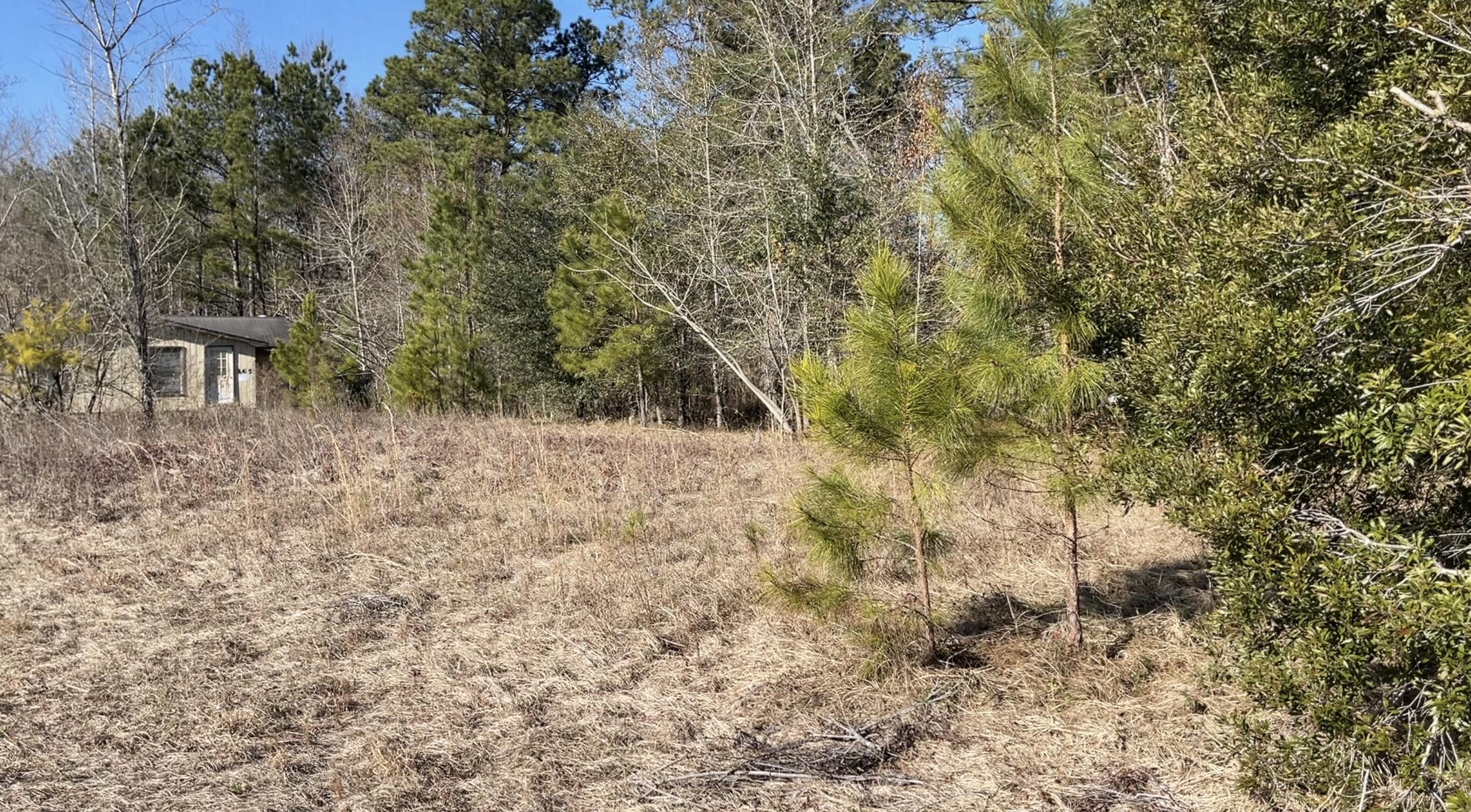 265 Hutto Road Ridgeville, SC 29472 - Photo 4 of 14 11B4600E-BC95-4EF1-8EC4-4EB9B3591D28