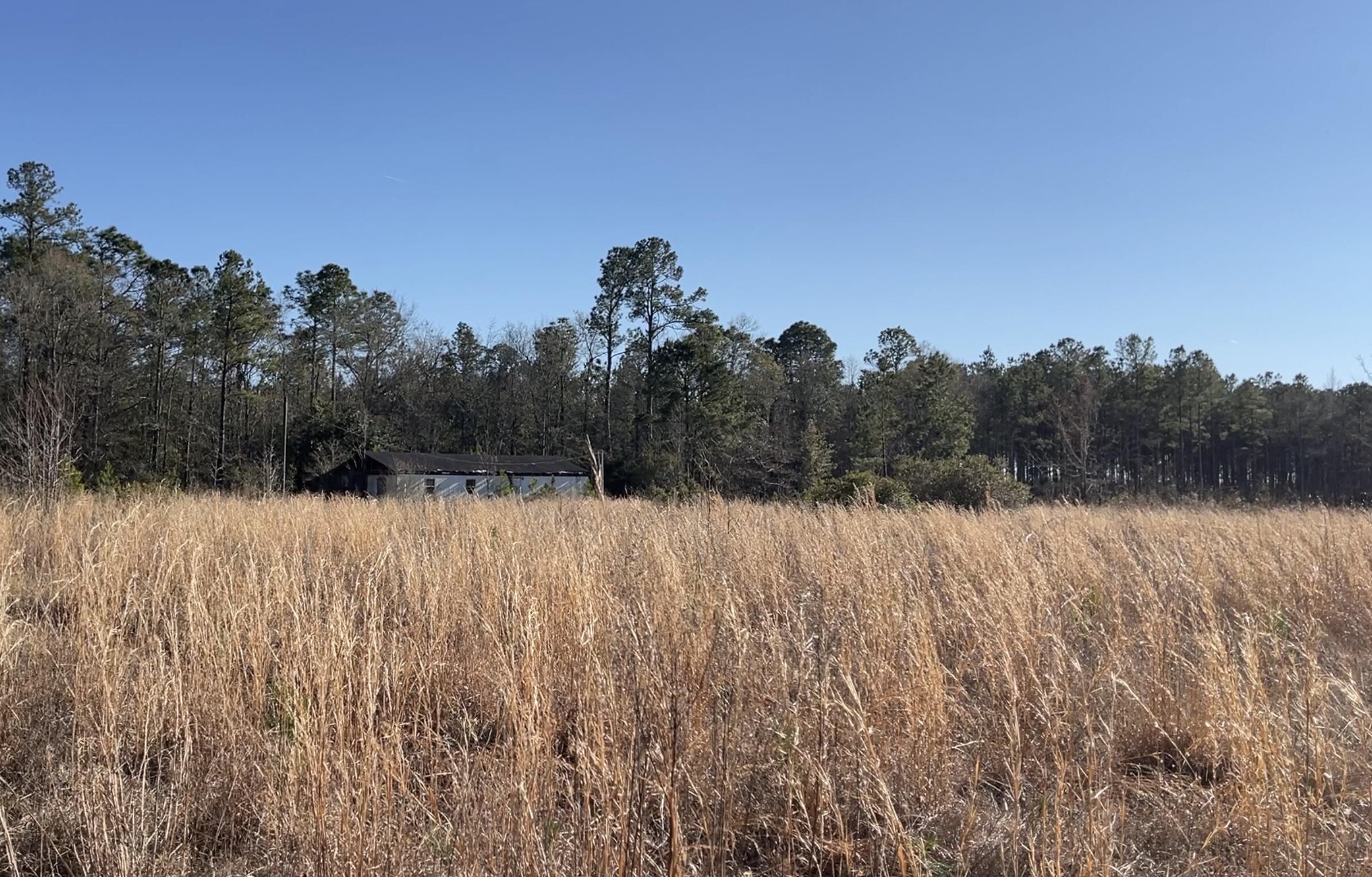 265 Hutto Road Ridgeville, SC 29472 - Photo 5 of 14 D57BDA45-D3DC-4DA6-A5B0-CD2AB3318925