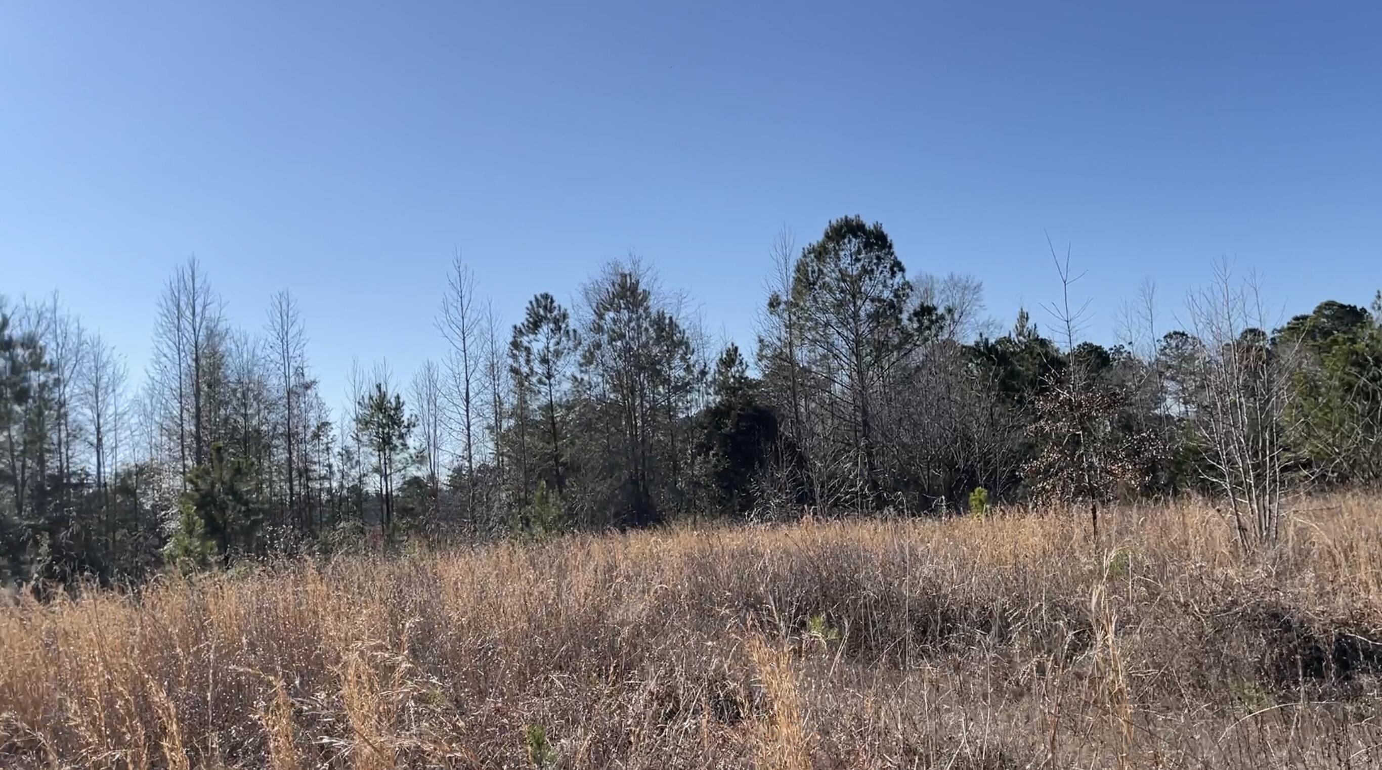 265 Hutto Road Ridgeville, SC 29472 - Photo 6 of 14 A2265283-57FF-4C53-935A-4A19D3D8F6E7