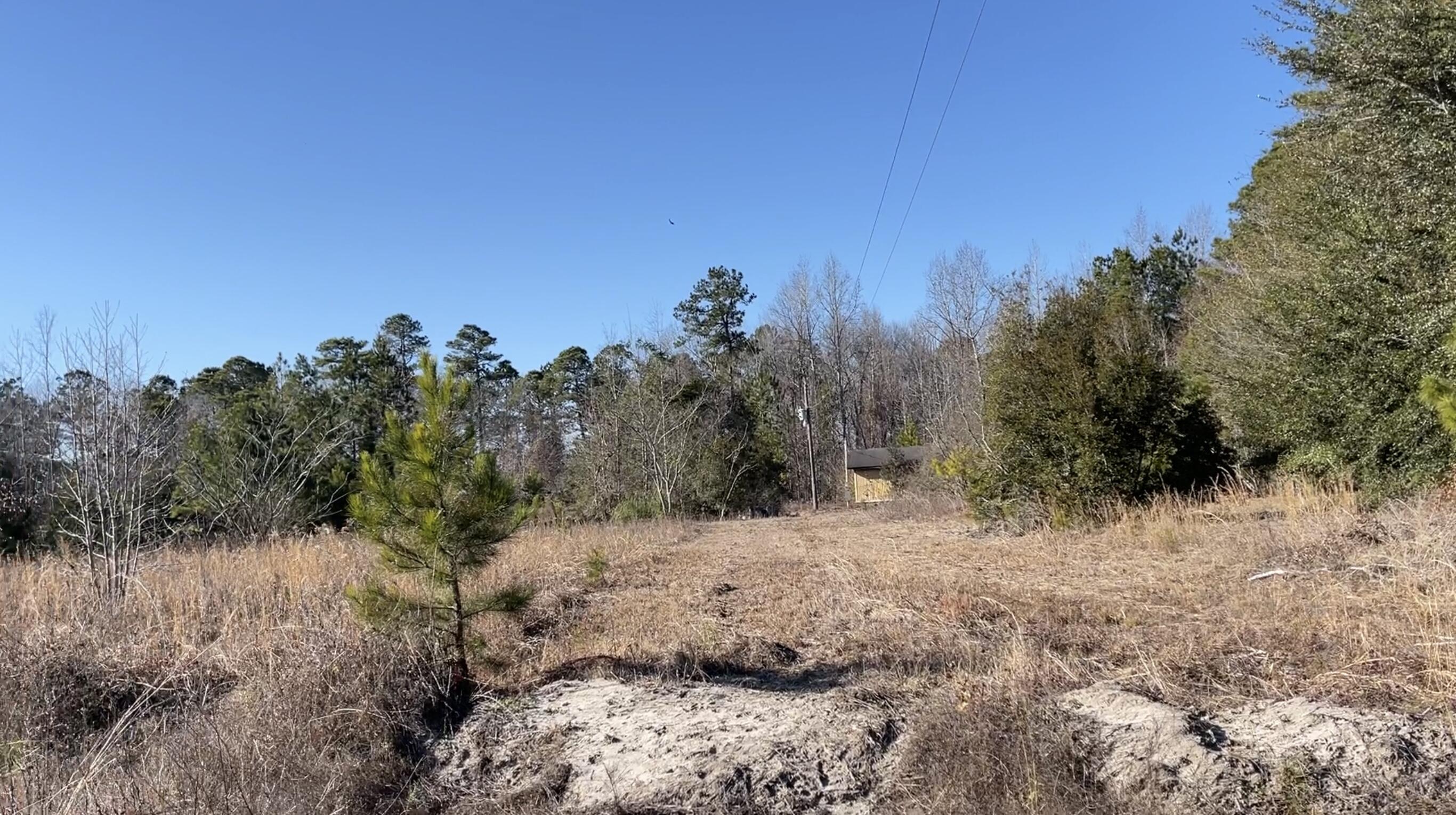 265 Hutto Road Ridgeville, SC 29472 - Photo 7 of 14 09127DE0-8DBD-425A-B85C-03BE176E1B5E