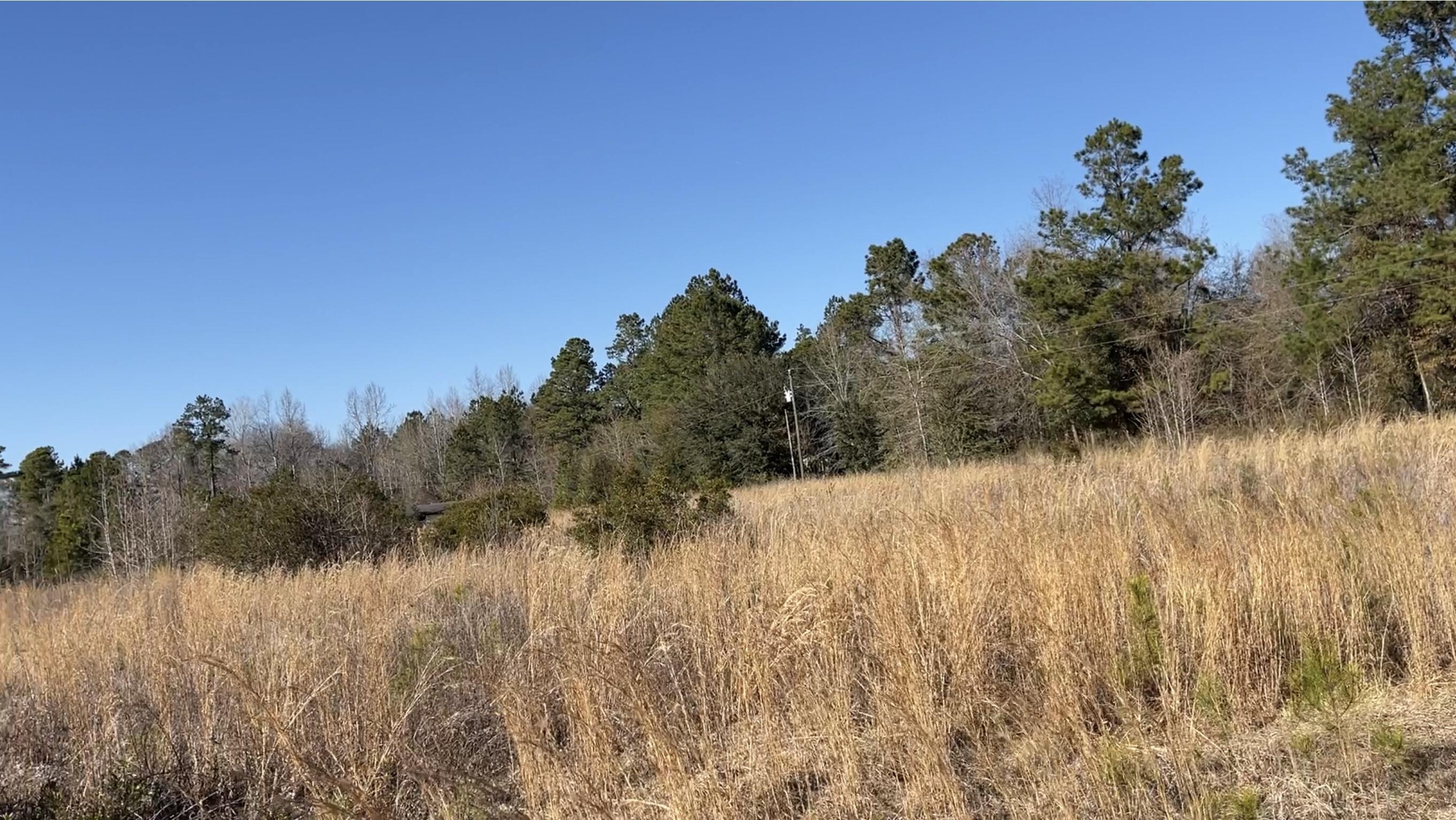 265 Hutto Road Ridgeville, SC 29472 - Photo 9 of 14 B6AAAFD3-C87A-4FFE-BB2F-12B87219A7EF