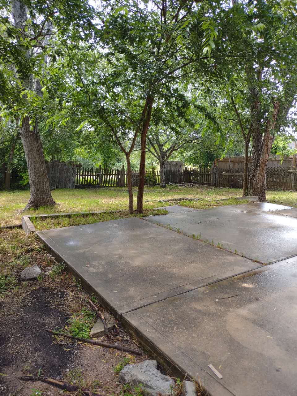 11709 Briarcreek Loop Manor, TX 78653 - Photo 16 of 19 A verdant backyard retreat offering ample space for outdoor living.