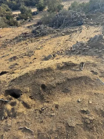 a view of a dry yard