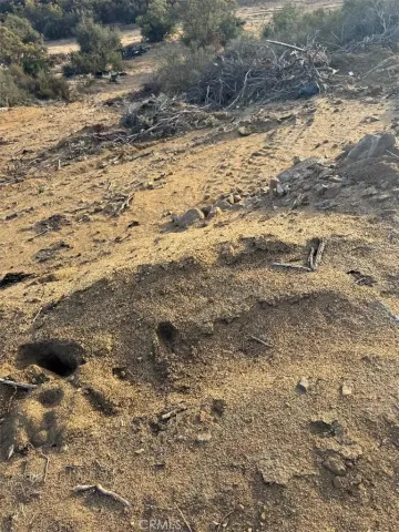 a view of a dry yard