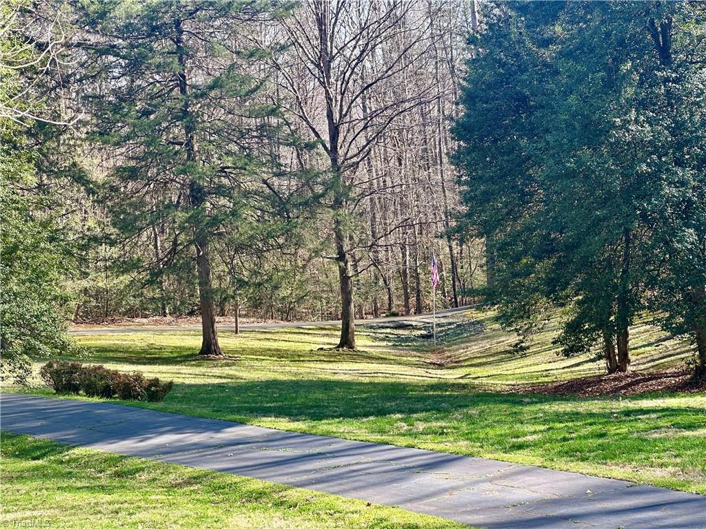 3501 River Ridge Road Pfafftown, NC 27040 - Photo 3 of 50 Driveway entering property