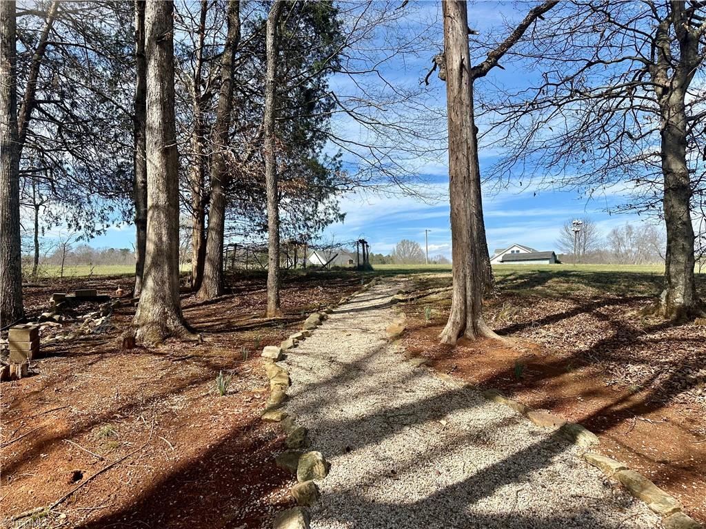 3501 River Ridge Road Pfafftown, NC 27040 - Photo 43 of 50 Path to back of property