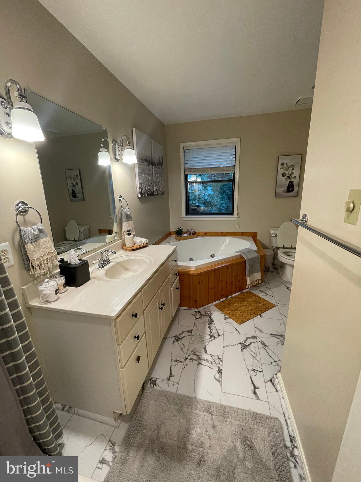 2315 Lookout Road Haymarket, VA 20169 - Photo 20 of 36 a large bathroom with a sink a large mirror and a toilet
