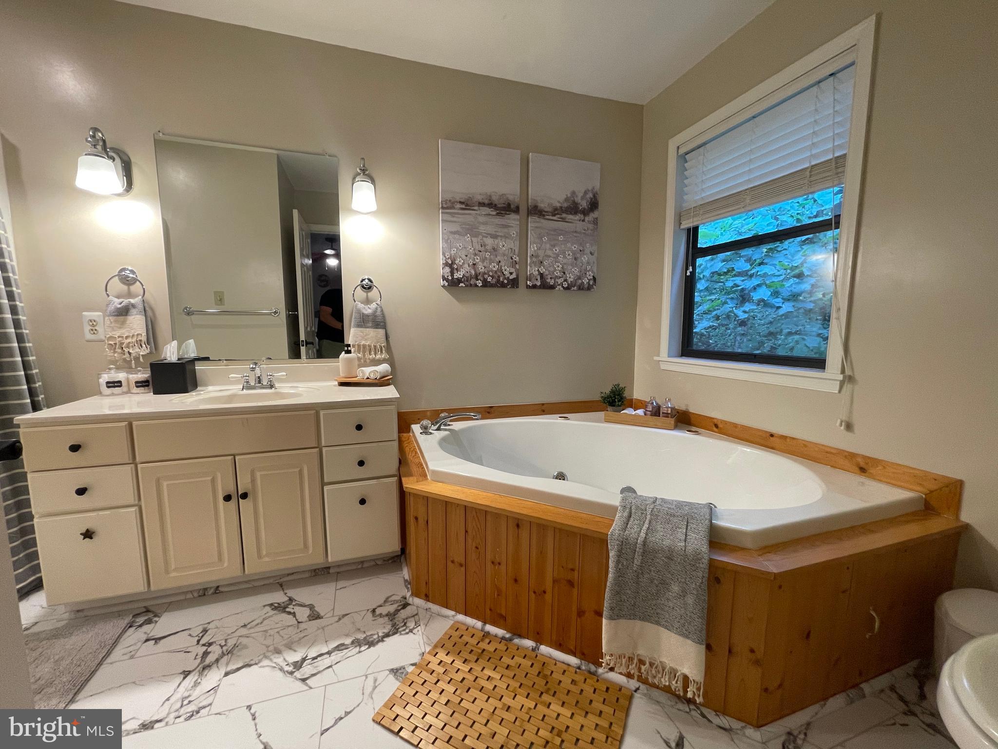 2315 Lookout Road Haymarket, VA 20169 - Photo 21 of 36 a spacious bathroom with a tub sink and mirror