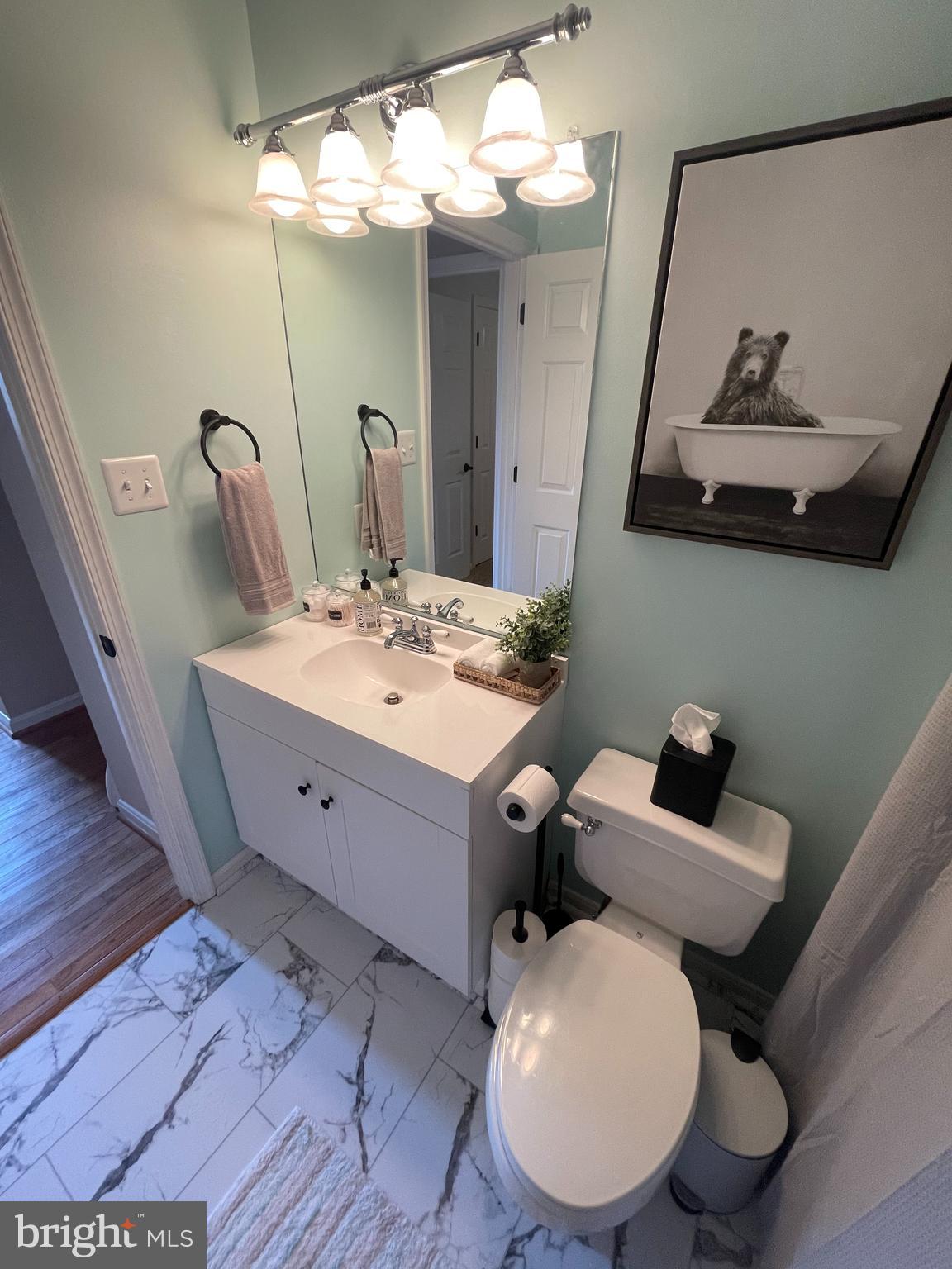 2315 Lookout Road Haymarket, VA 20169 - Photo 36 of 36 a bathroom with a toilet sink and mirror