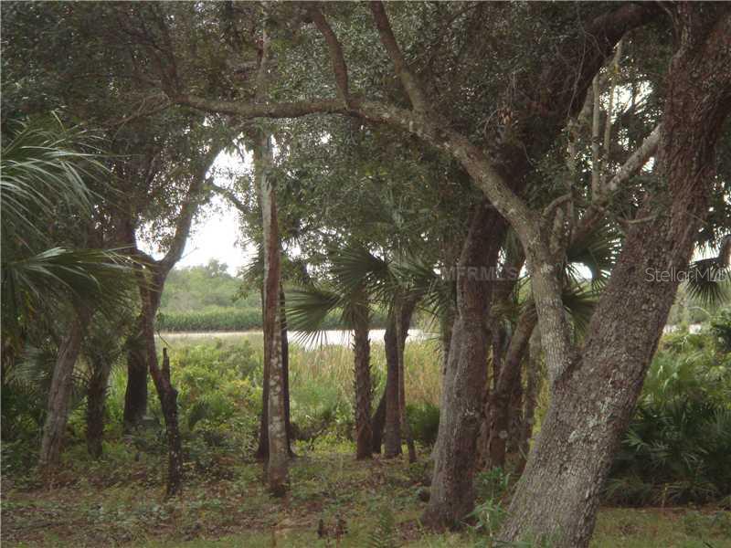 8423 Southwest Riverside Drive Arcadia, FL 34269 - Photo 6 of 20 View - View of the river from the yard