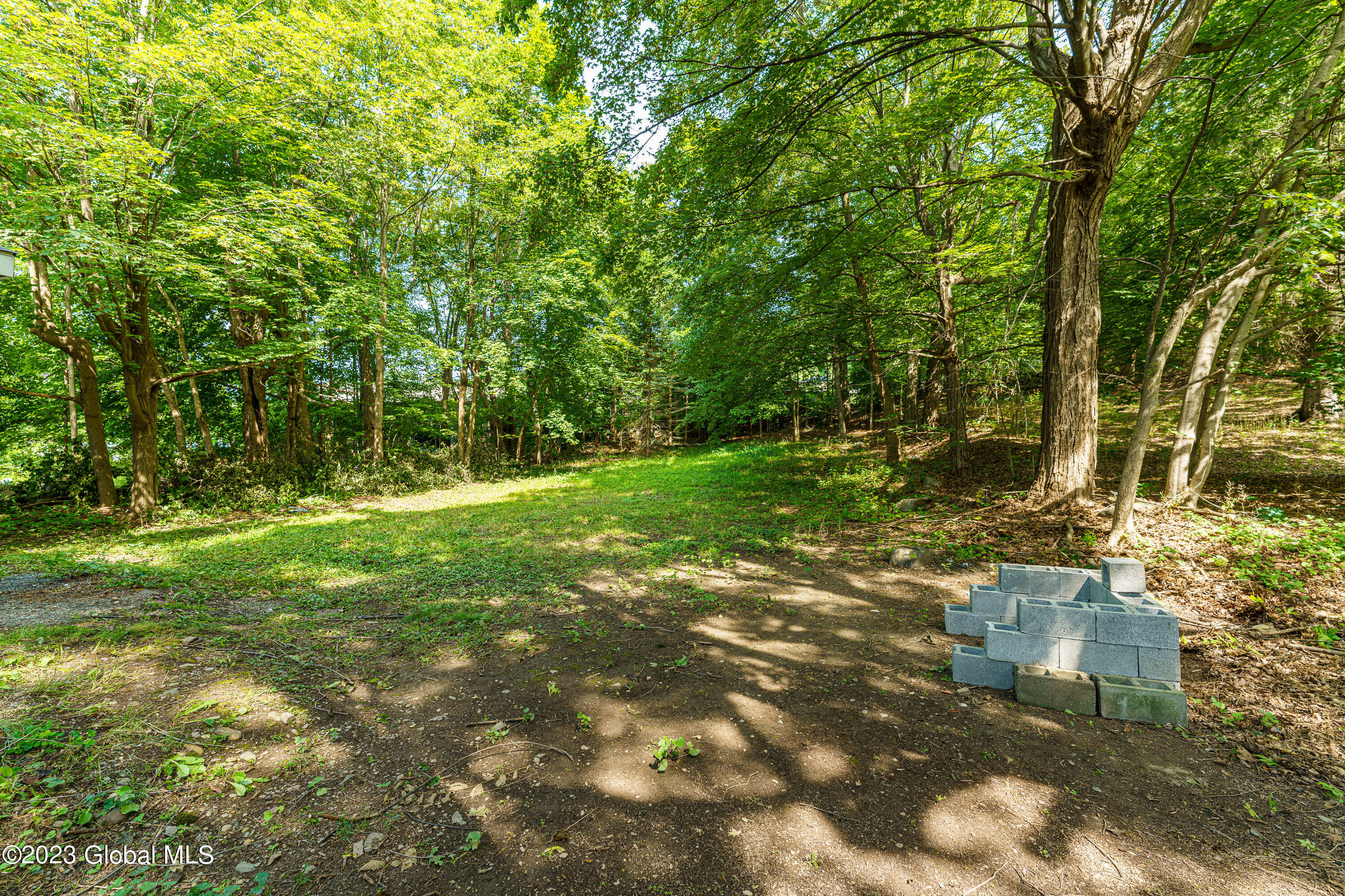 5 Taborton Road Sand Lake, NY 12153 - Photo 49 of 55 Yard 6