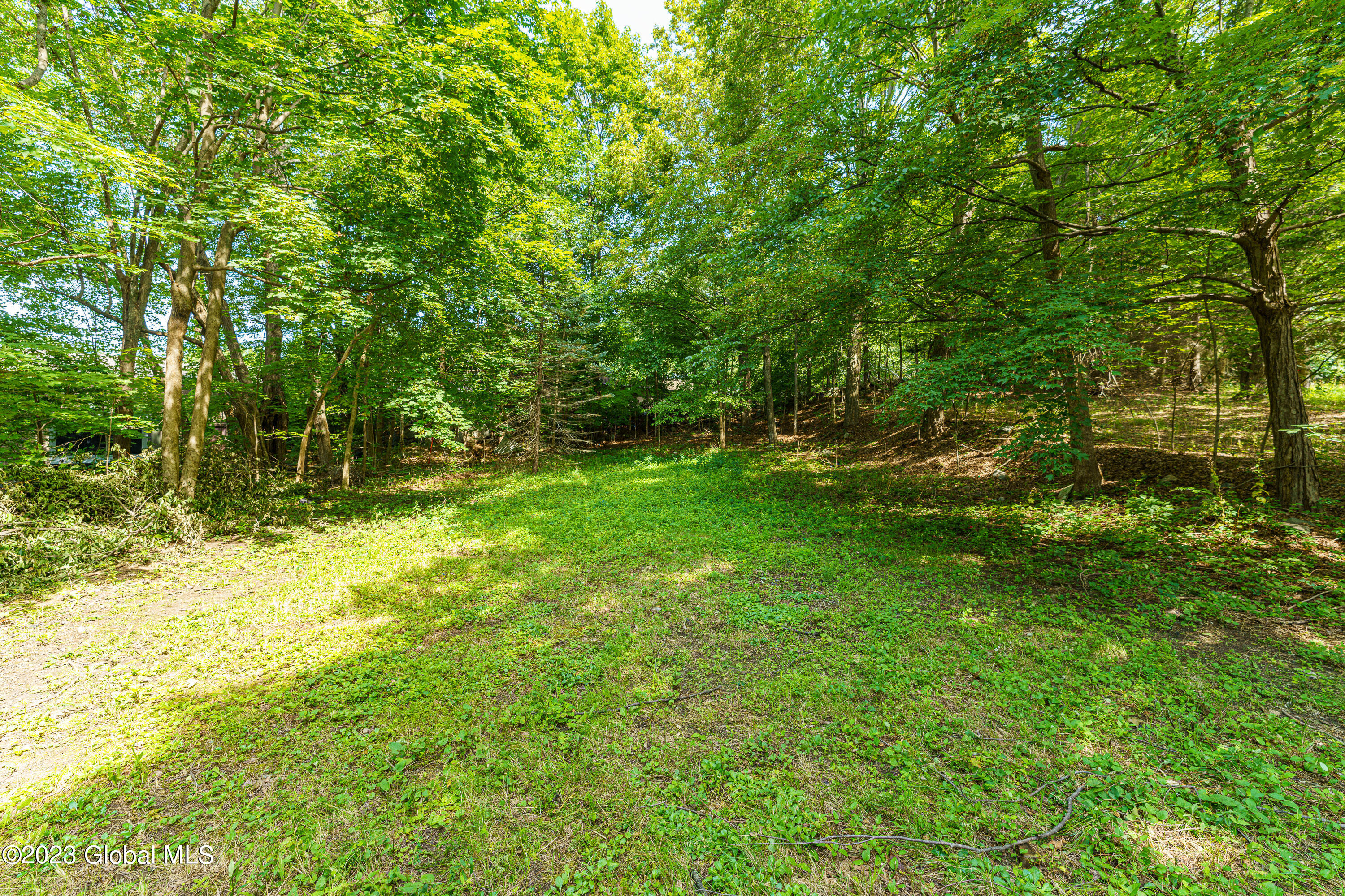 5 Taborton Road Sand Lake, NY 12153 - Photo 50 of 55 Yard 7