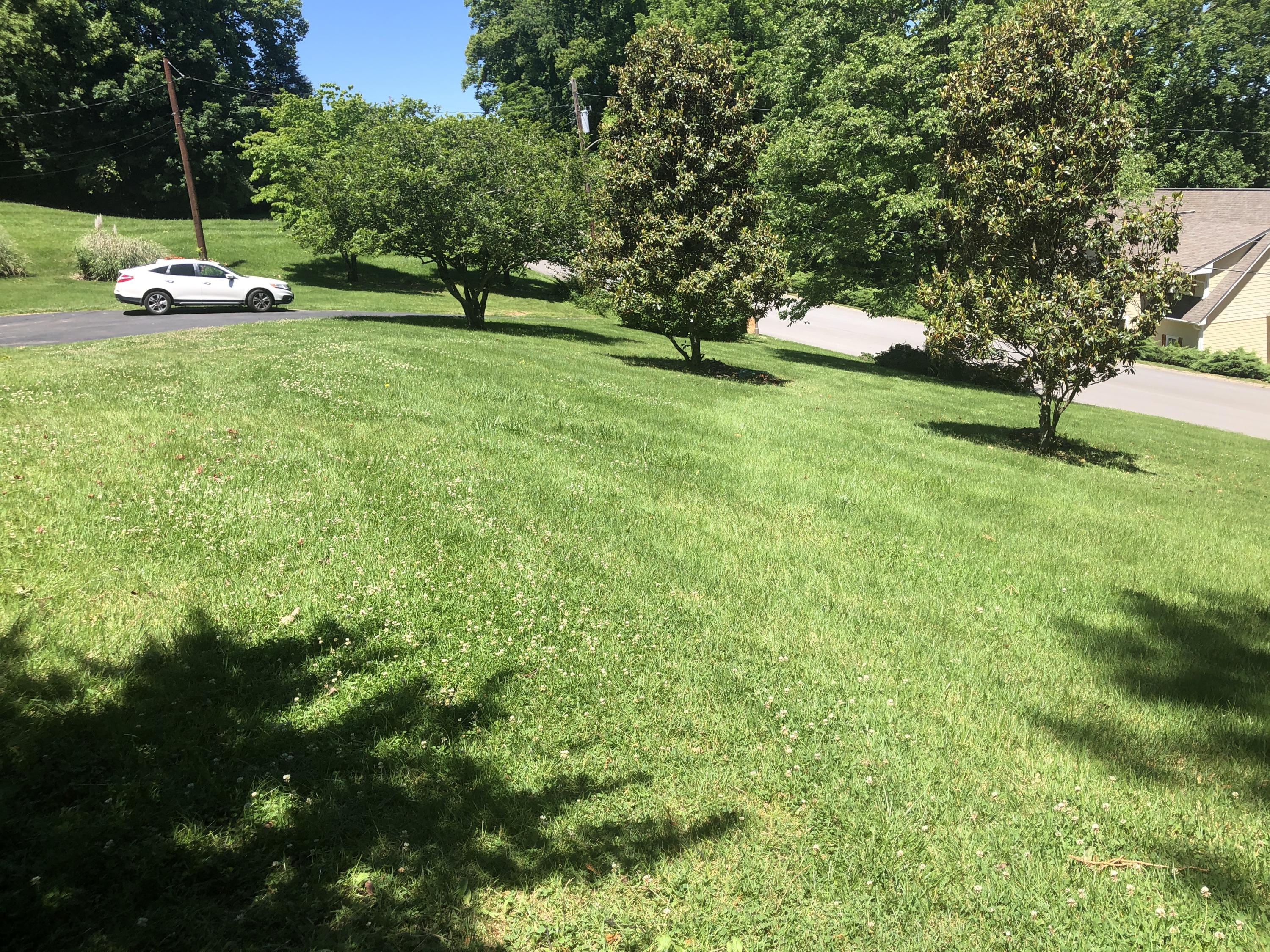 110 Ridgecrest Drive Elizabethton, TN 37643 - Photo 13 of 46 IMG_7762