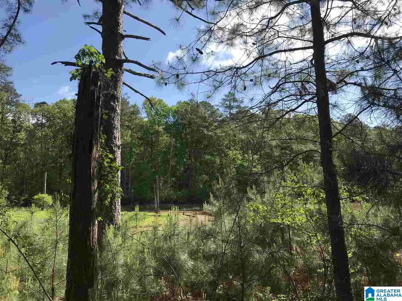0 Steele Gap Road North, Unit 11 4 Steele, AL 35987 - Photo 14 of 26