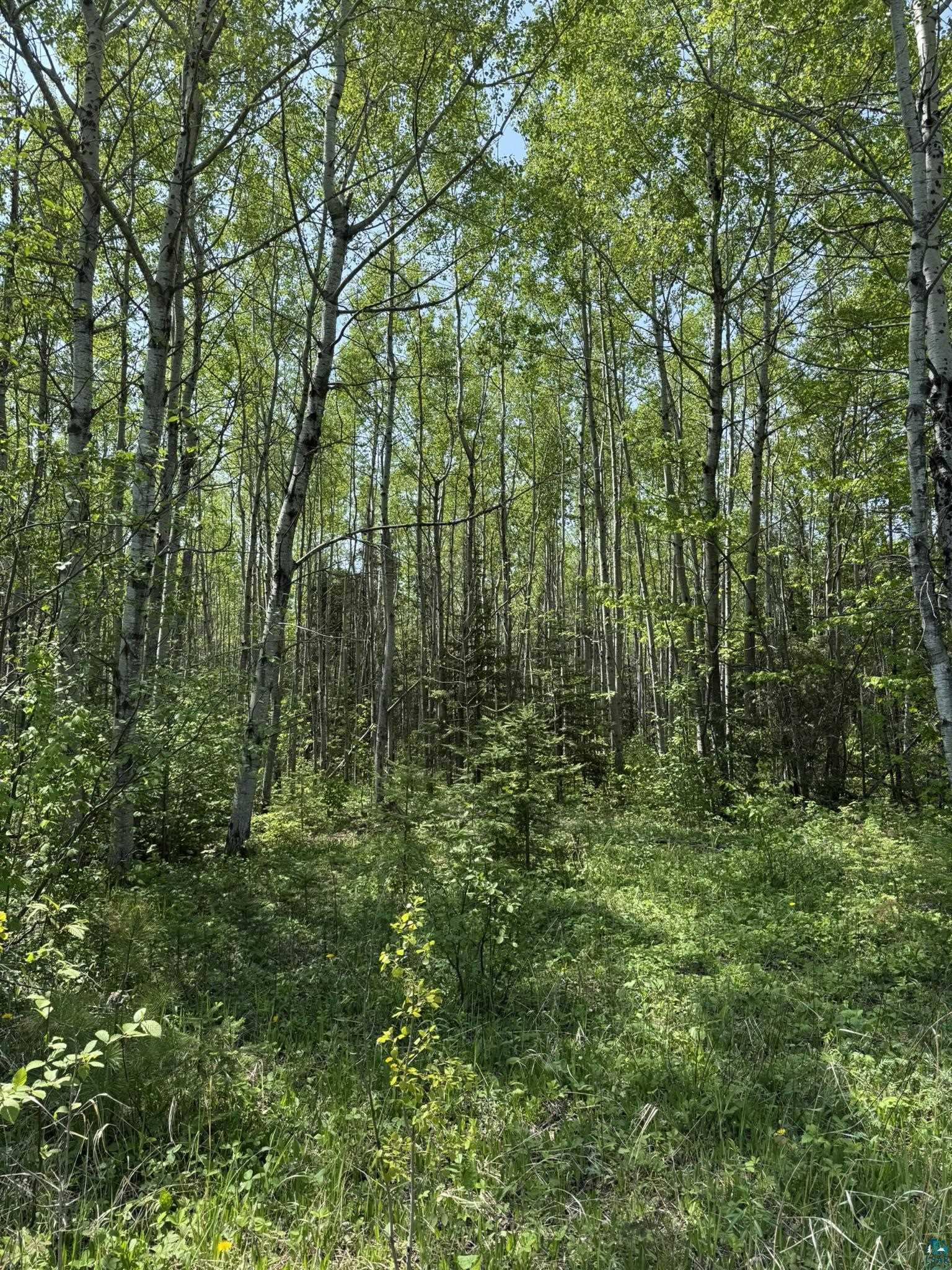 Two Fors Road Two Harbors, MN 55616 - Photo 12 of 13