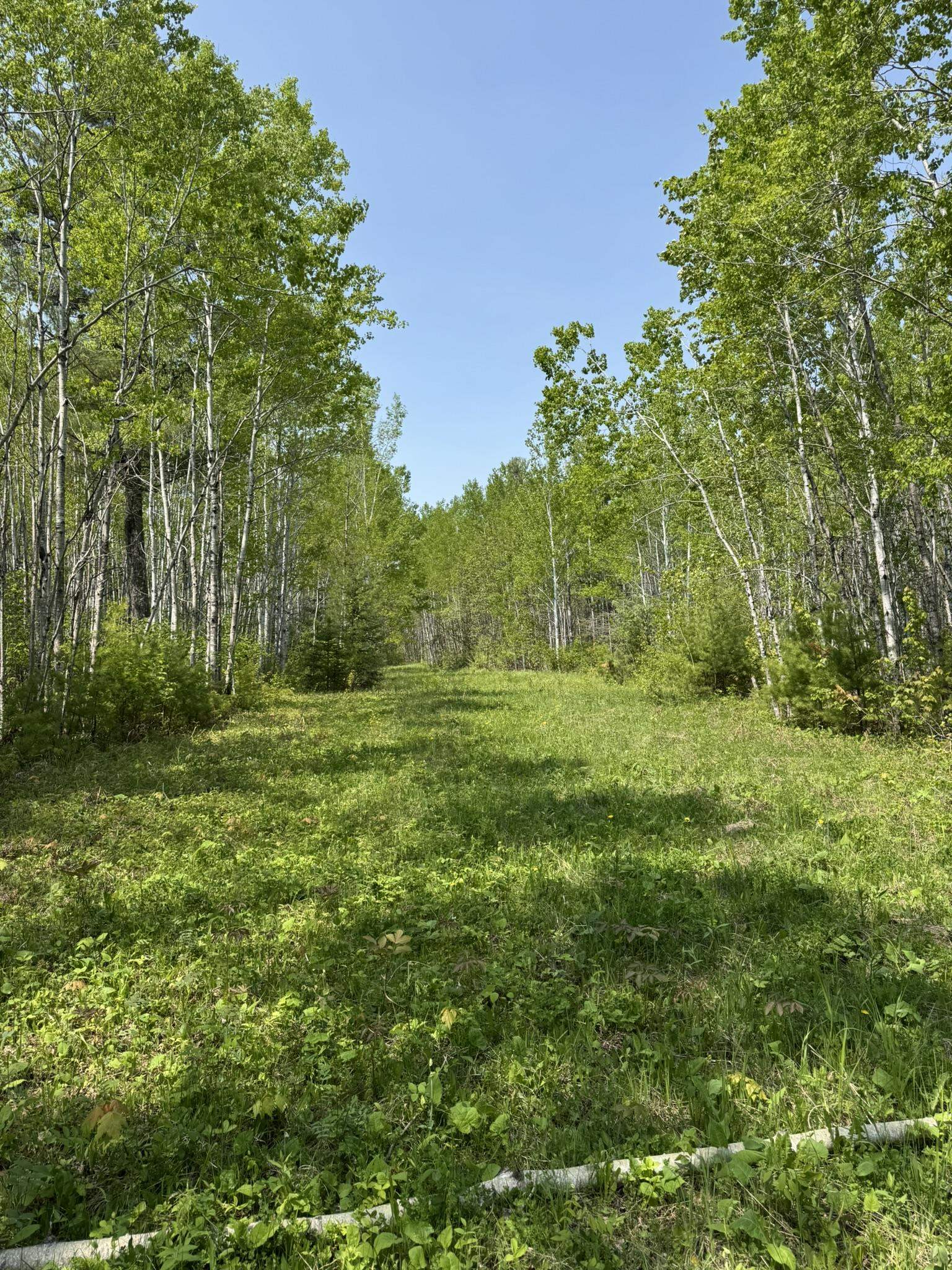 Two Fors Road Two Harbors, MN 55616 - Photo 6 of 13