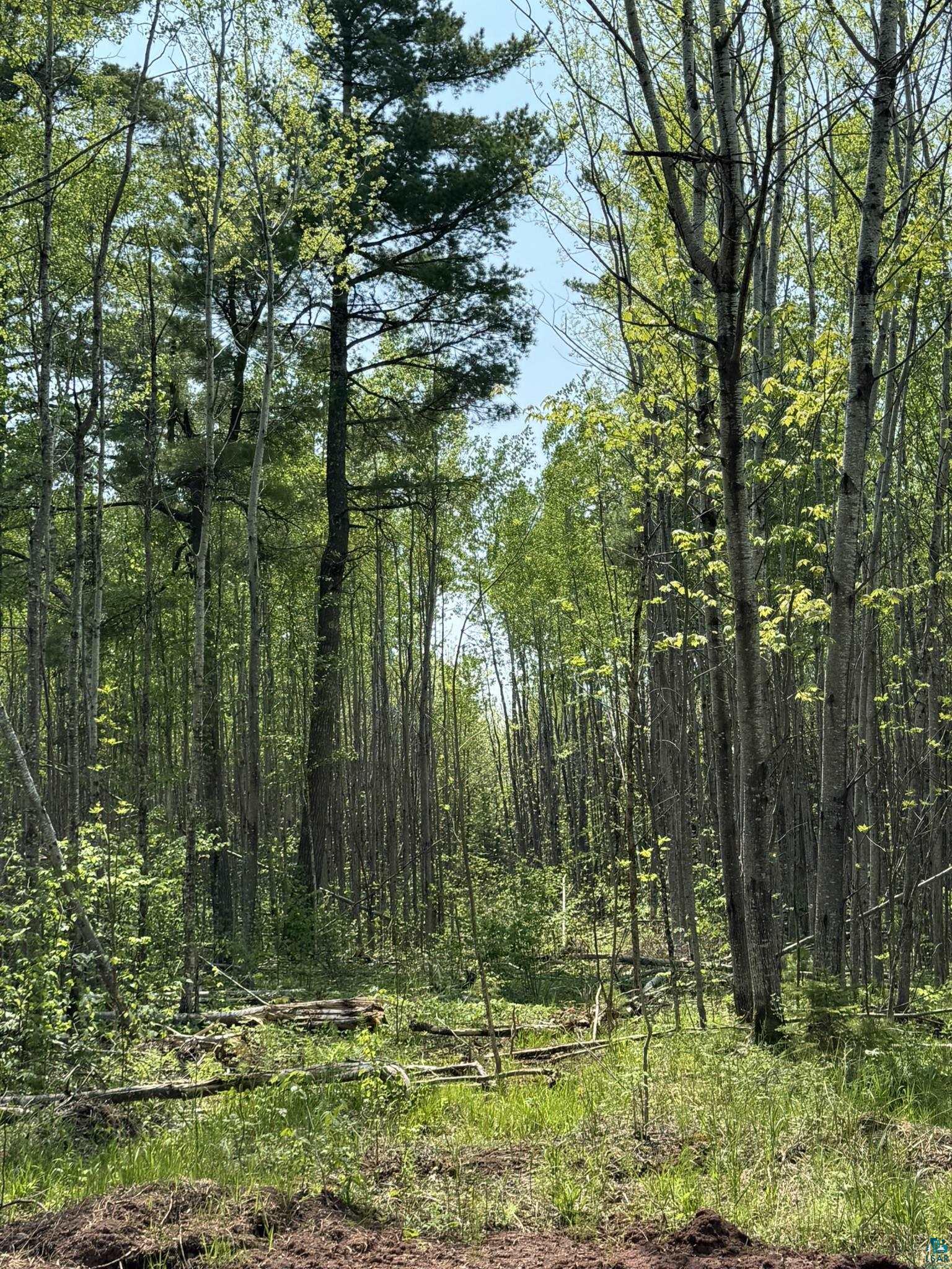 Two Fors Road Two Harbors, MN 55616 - Photo 8 of 13