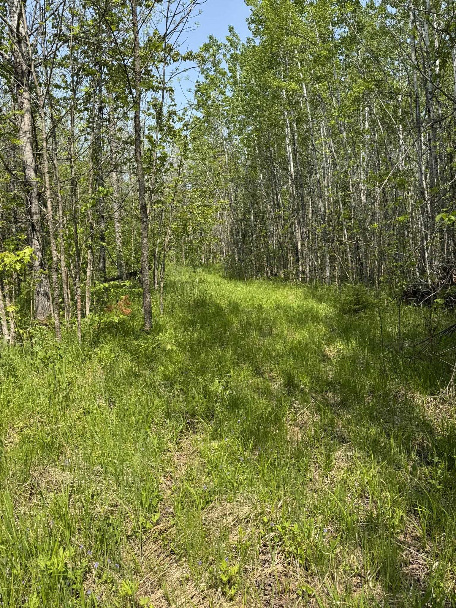 Two Fors Road Two Harbors, MN 55616 - Photo 9 of 13