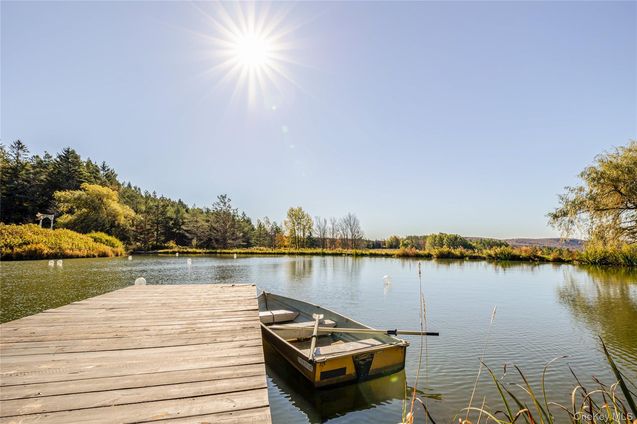 108 HIGH POND Road Summit, NY 12175 - Photo 4 of 50