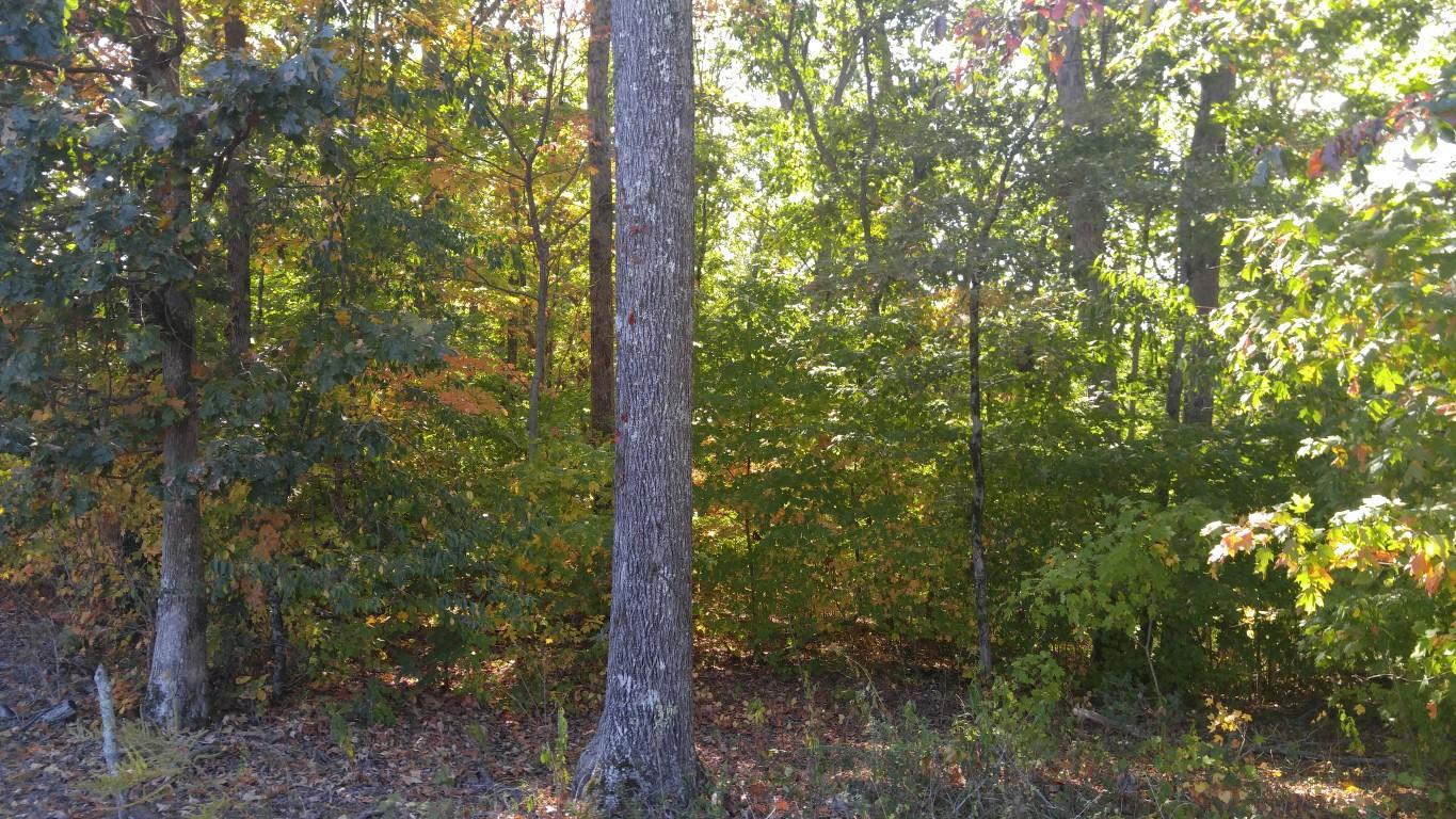 5590 Toestring Valley Road Spring City, TN 37381 - Photo 2 of 4 Toestring Valley (Medium)