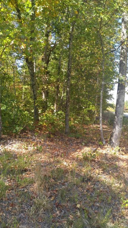 5590 Toestring Valley Road Spring City, TN 37381 - Photo 3 of 4 Toestring Valley Road (Medium)