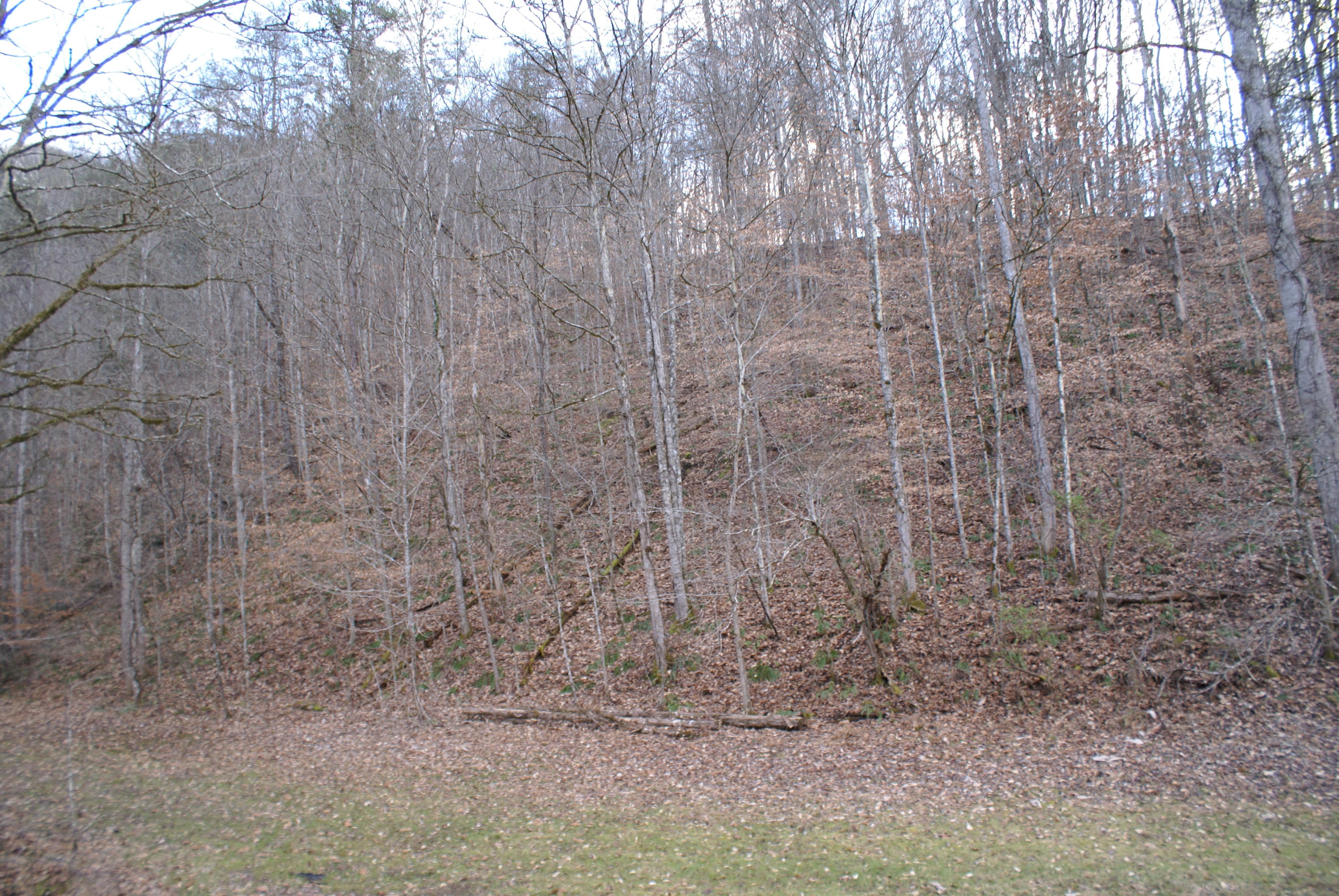 571 Mackey Road Sneedville, TN 37869 - Photo 51 of 61 DSC08041
