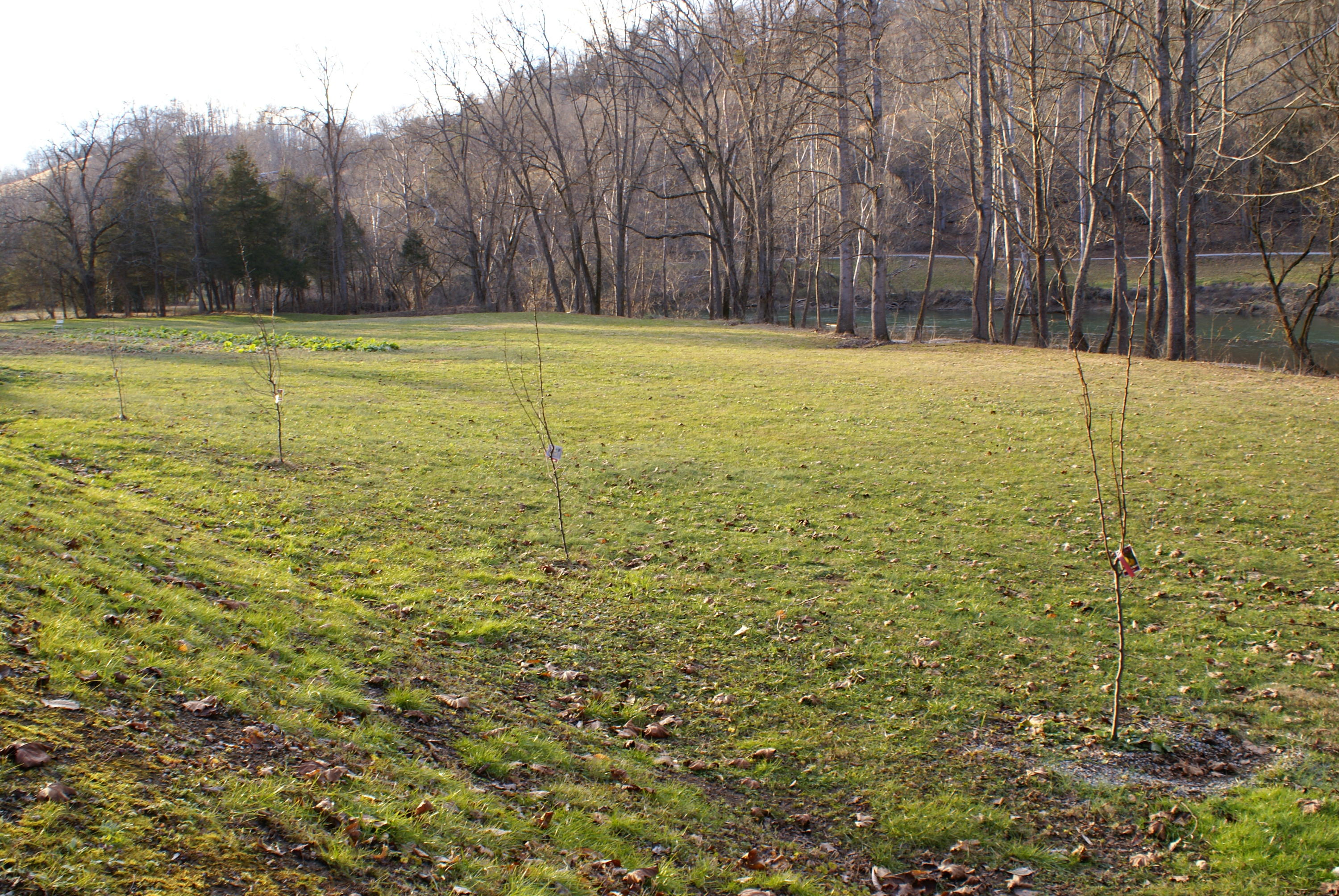 571 Mackey Road Sneedville, TN 37869 - Photo 54 of 61 DSC08057