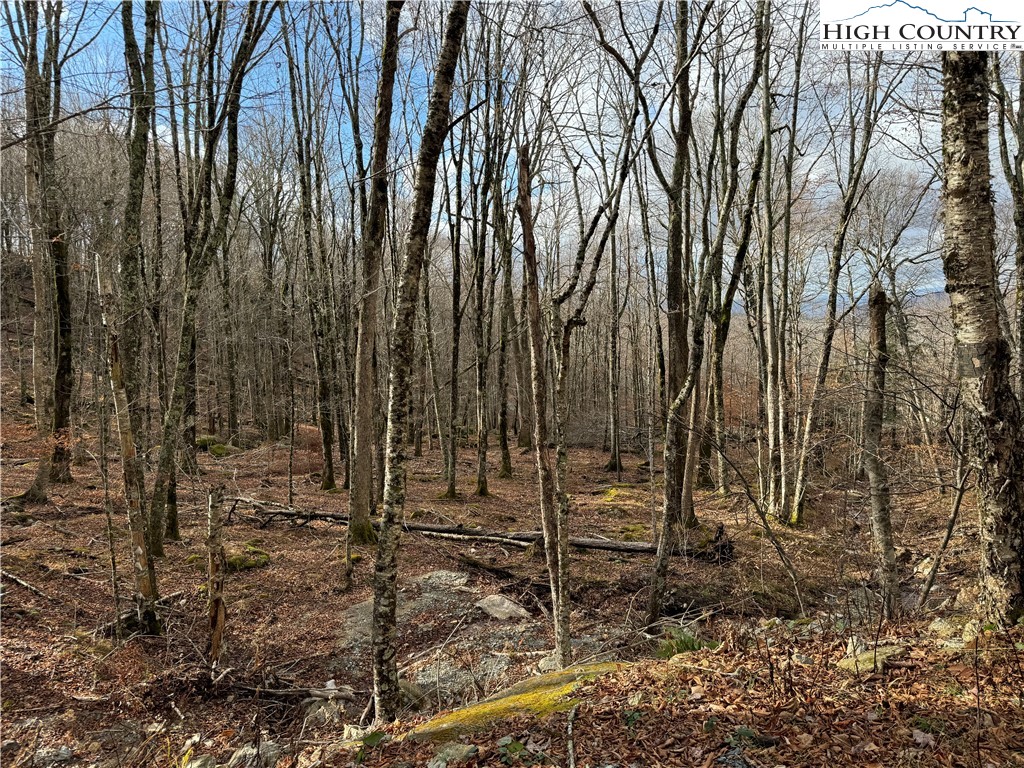 122 Whipporwill Way Road Beech Mountain, NC 28604 - Photo 1 of 8 Gallery Image 1