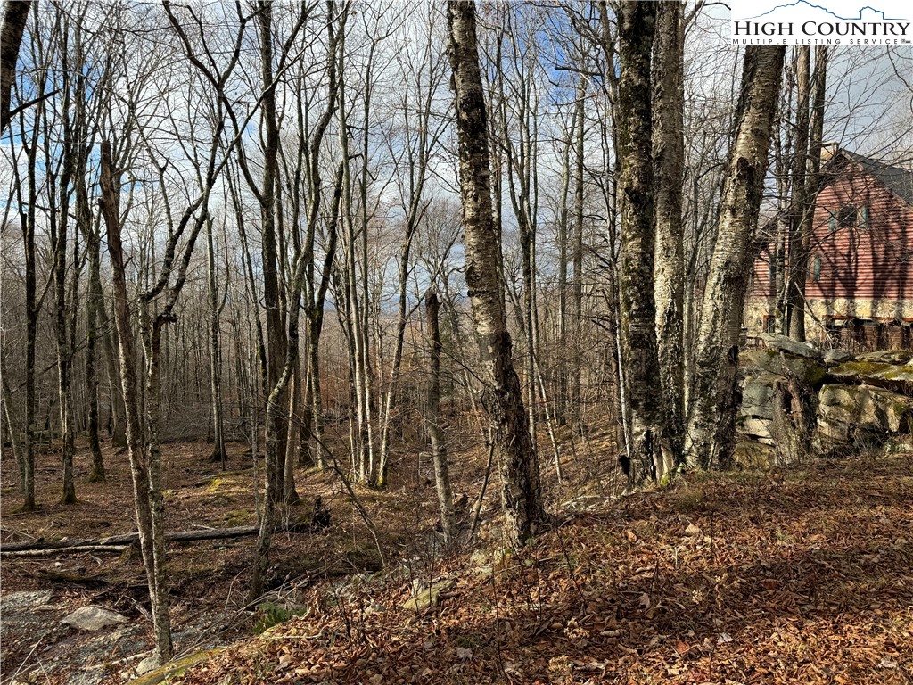 122 Whipporwill Way Road Beech Mountain, NC 28604 - Photo 2 of 8 Gallery Image 2