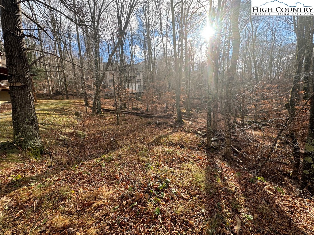 122 Whipporwill Way Road Beech Mountain, NC 28604 - Photo 3 of 8 Gallery Image 3