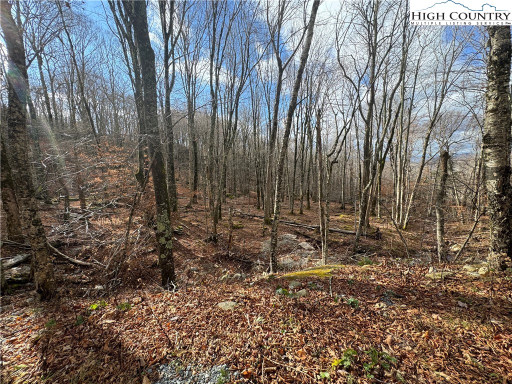 122 Whipporwill Way Road Beech Mountain, NC 28604 - Photo 4 of 8 Gallery Image 4