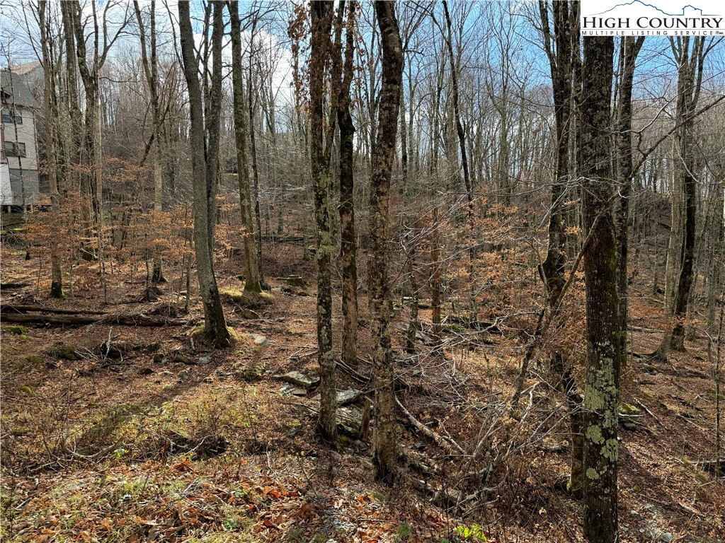 122 Whipporwill Way Road Beech Mountain, NC 28604 - Photo 6 of 8 Gallery Image 6