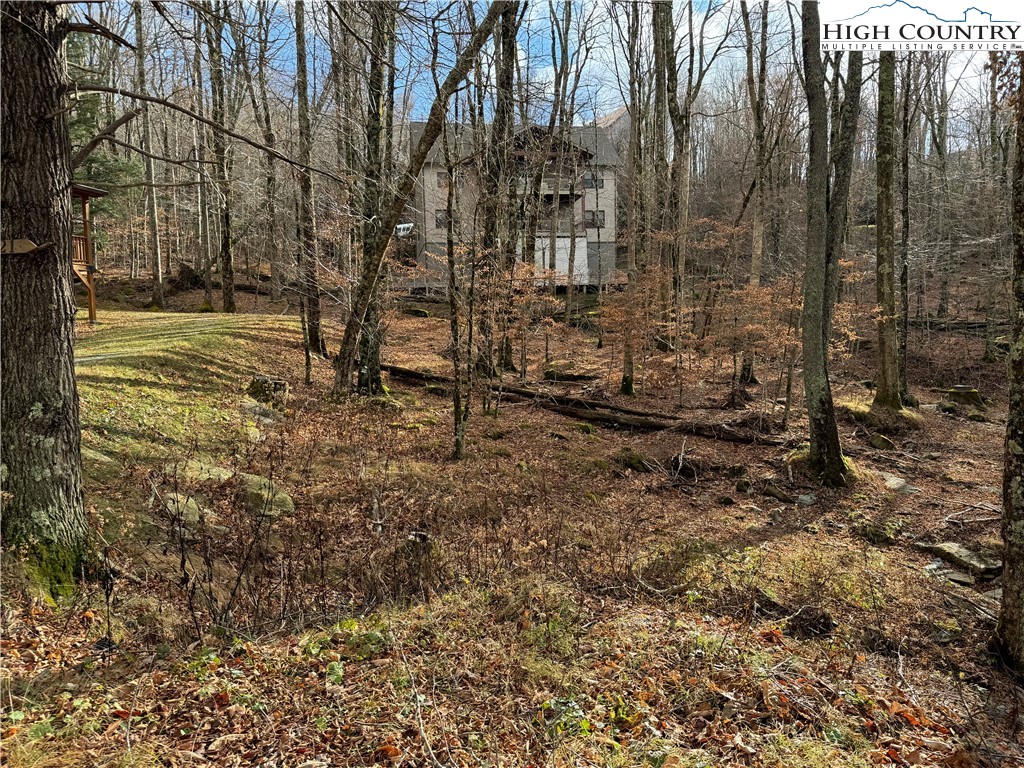 122 Whipporwill Way Road Beech Mountain, NC 28604 - Photo 7 of 8 Gallery Image 7