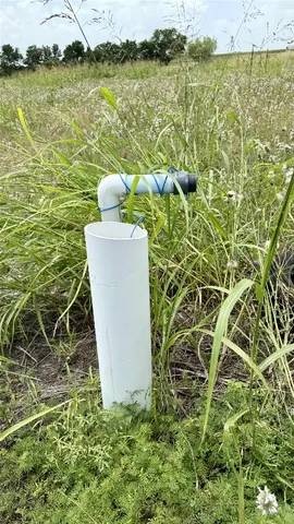 a picture of a lake with a garden