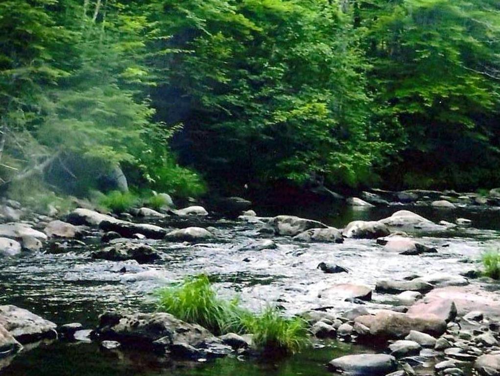 490 Phillips Road Weld, ME 04285 - Photo 35 of 35 East Brook