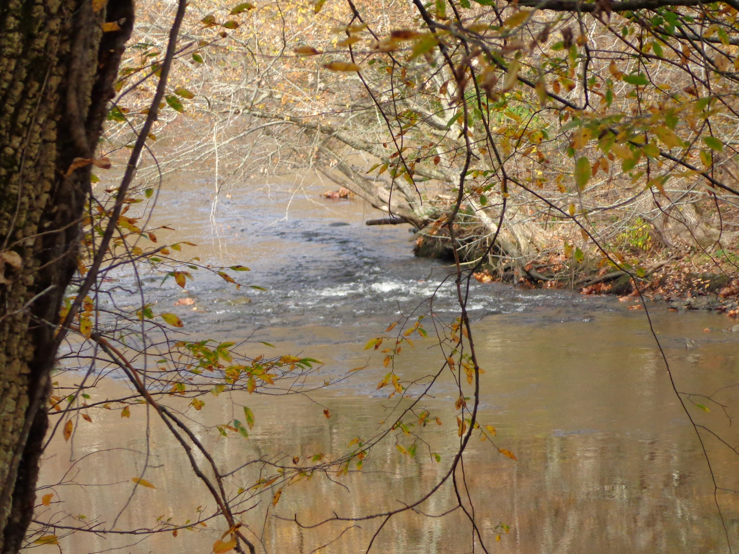 3648 Trail Hollow Road Hartford, TN 37753 - Photo 1 of 22 PRIMARY Trail Hollow #553670
