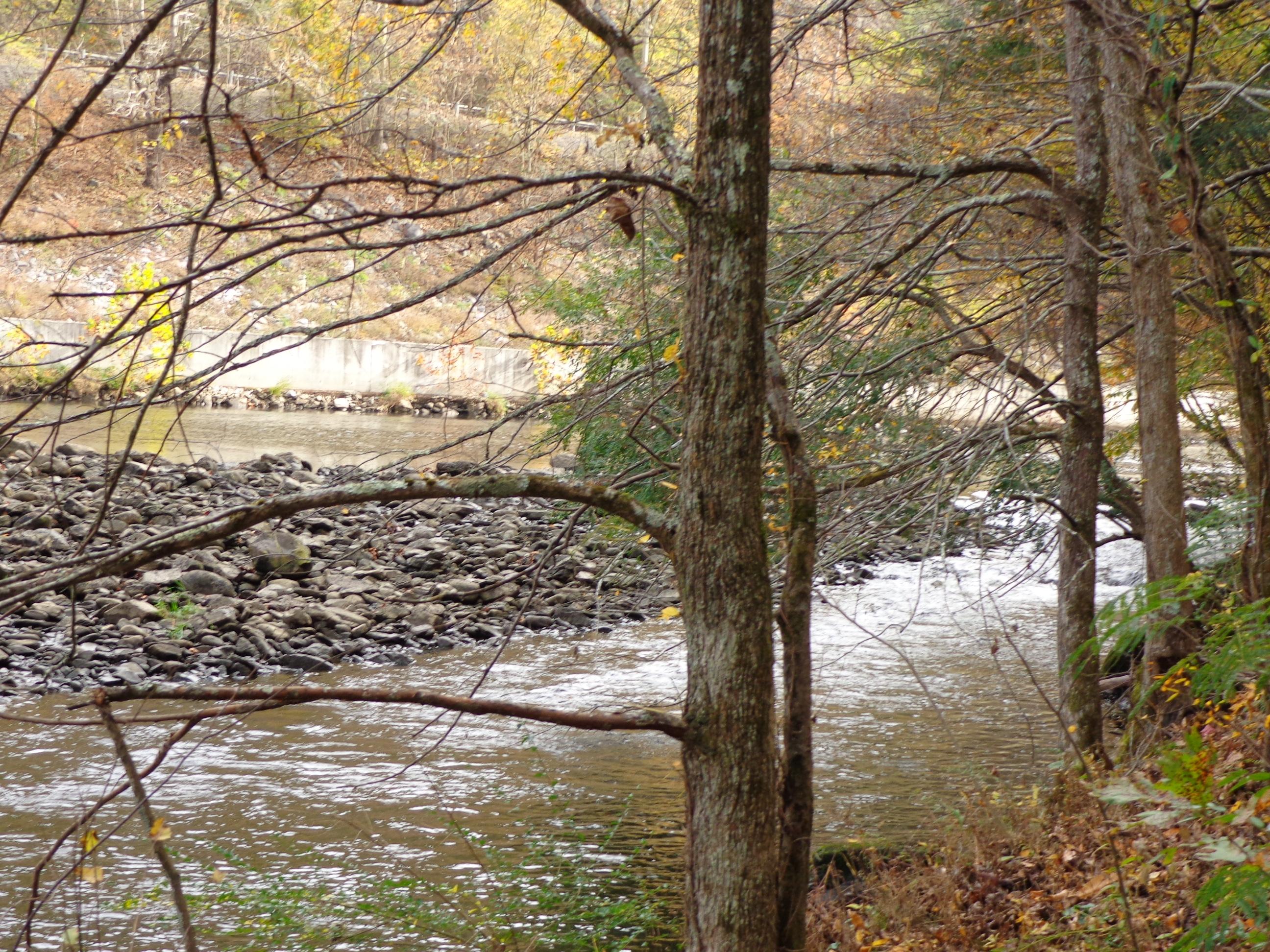 3648 Trail Hollow Road Hartford, TN 37753 - Photo 2 of 22 #553670 Trail Hollow (9)