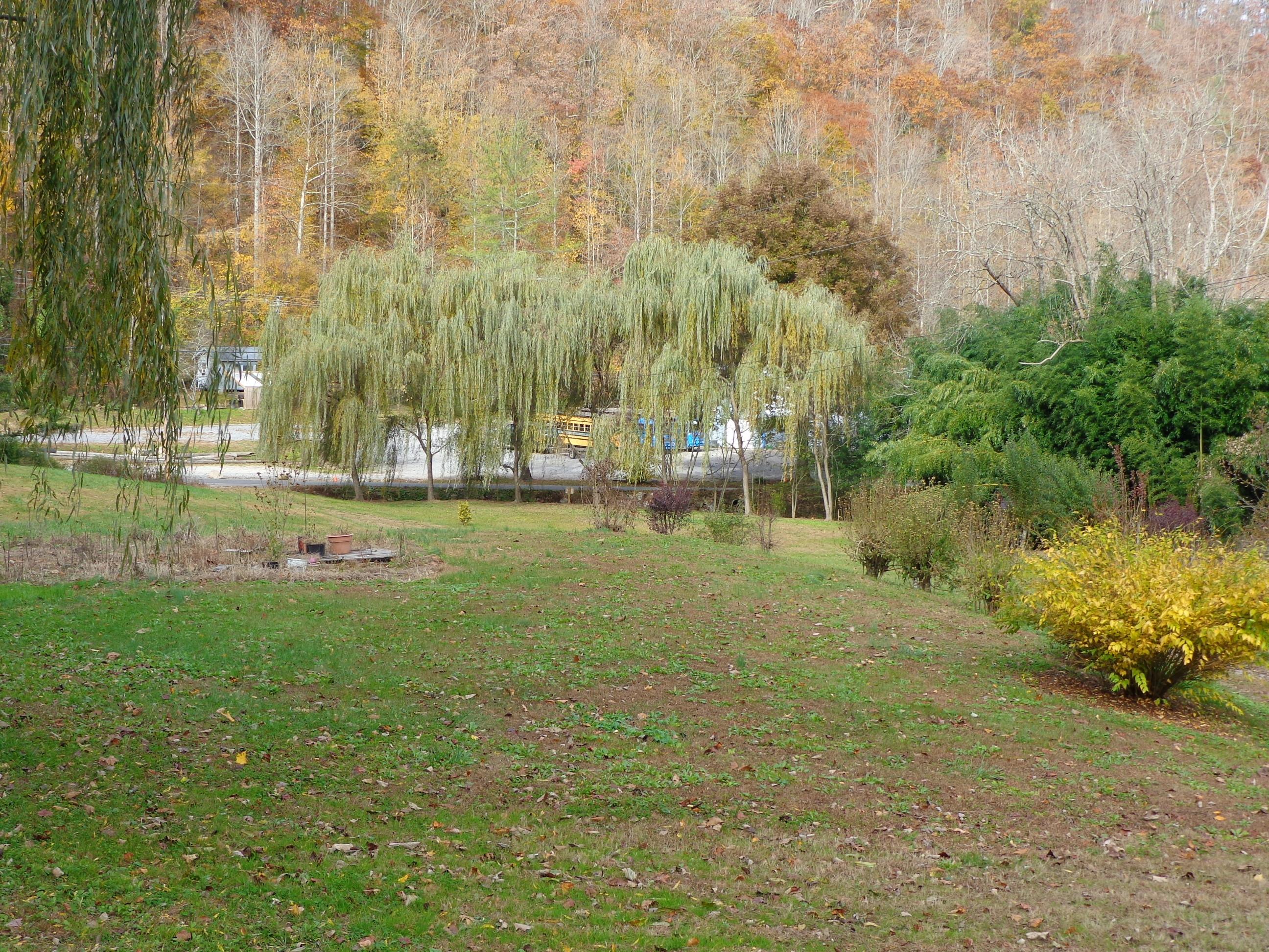 3648 Trail Hollow Road Hartford, TN 37753 - Photo 11 of 22 #553670 Trail Hollow (5)