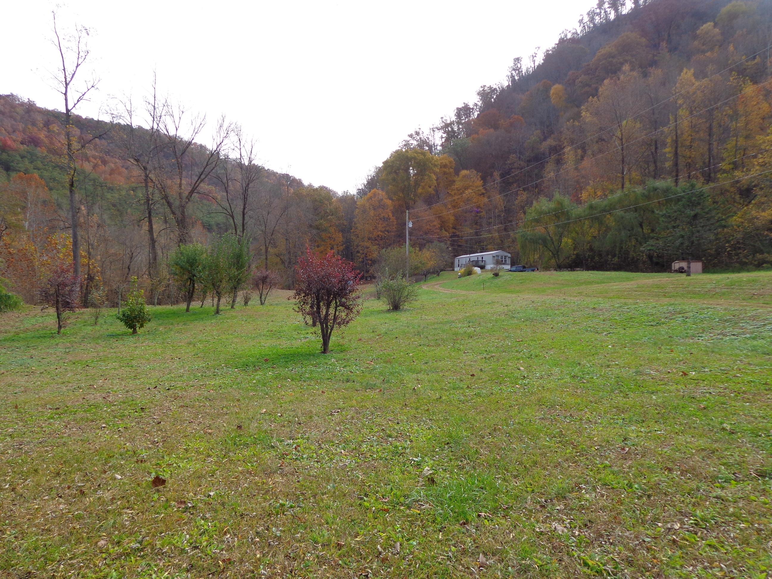 3648 Trail Hollow Road Hartford, TN 37753 - Photo 12 of 22 #553670 Trail Hollow (1)