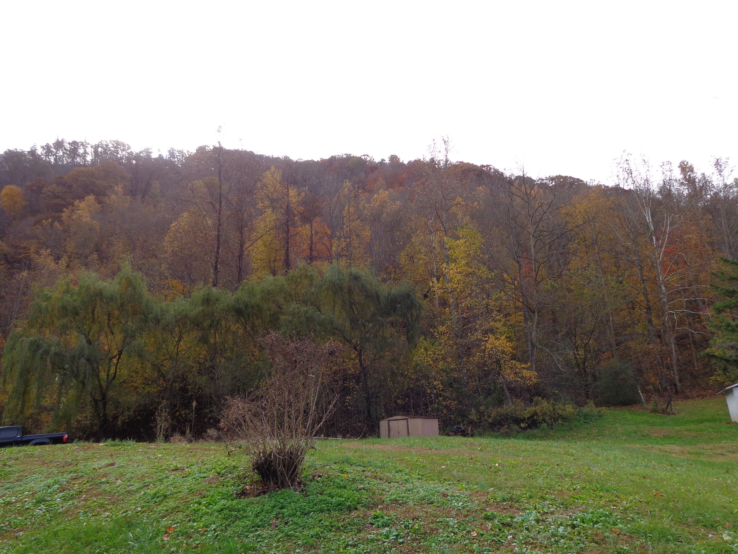 3648 Trail Hollow Road Hartford, TN 37753 - Photo 13 of 22 #553670 Trail Hollow (2)