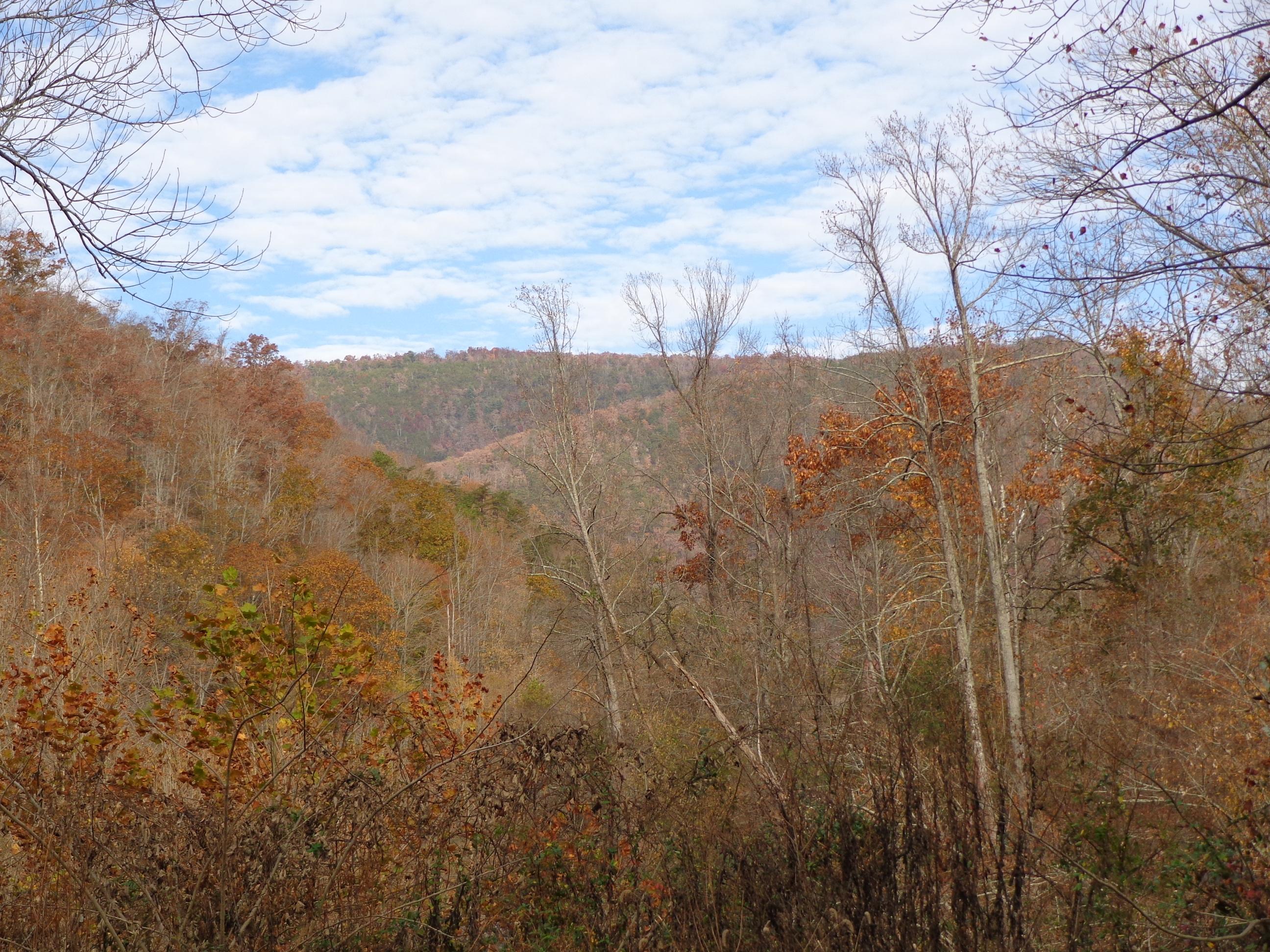 3648 Trail Hollow Road Hartford, TN 37753 - Photo 17 of 22 #553670 Trail Hollow (14)