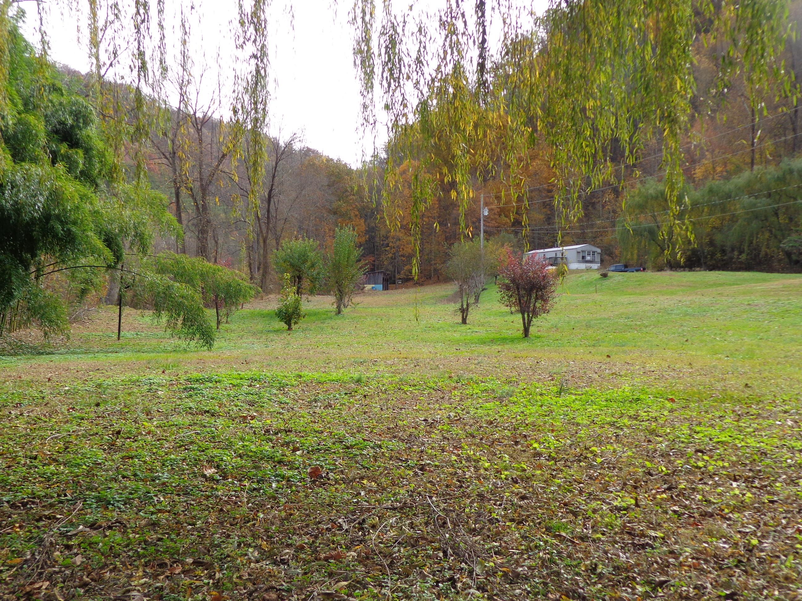 3648 Trail Hollow Road Hartford, TN 37753 - Photo 18 of 22 #553670 Trail Hollow (17)