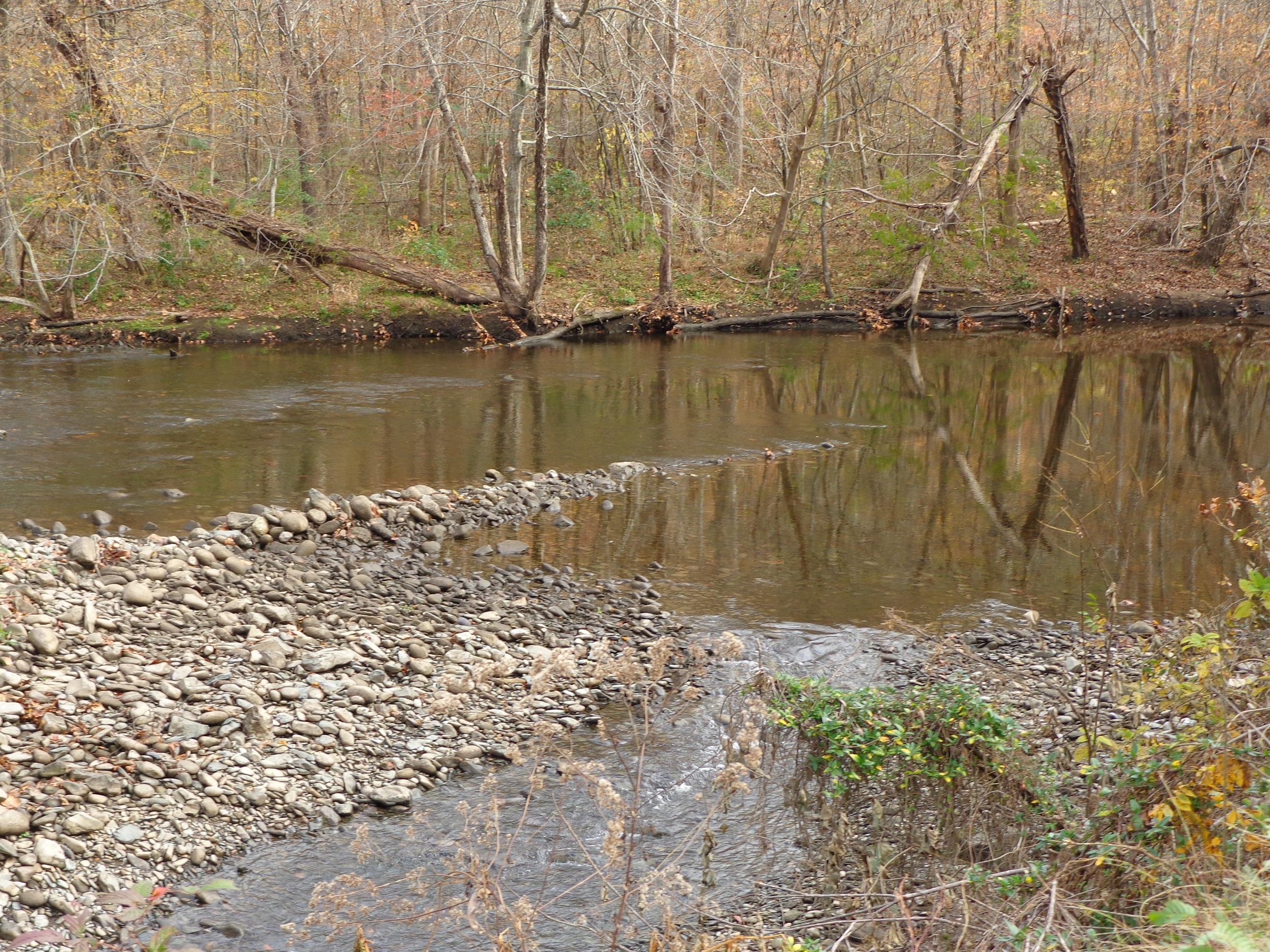 3648 Trail Hollow Road Hartford, TN 37753 - Photo 5 of 22 #553670 Trail Hollow (19)