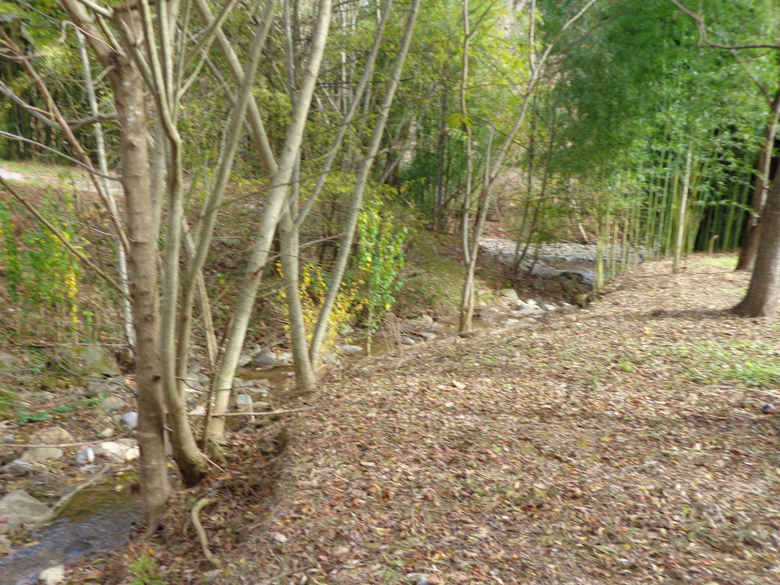 3648 Trail Hollow Road Hartford, TN 37753 - Photo 6 of 22 #553670 Trail Hollow (16)